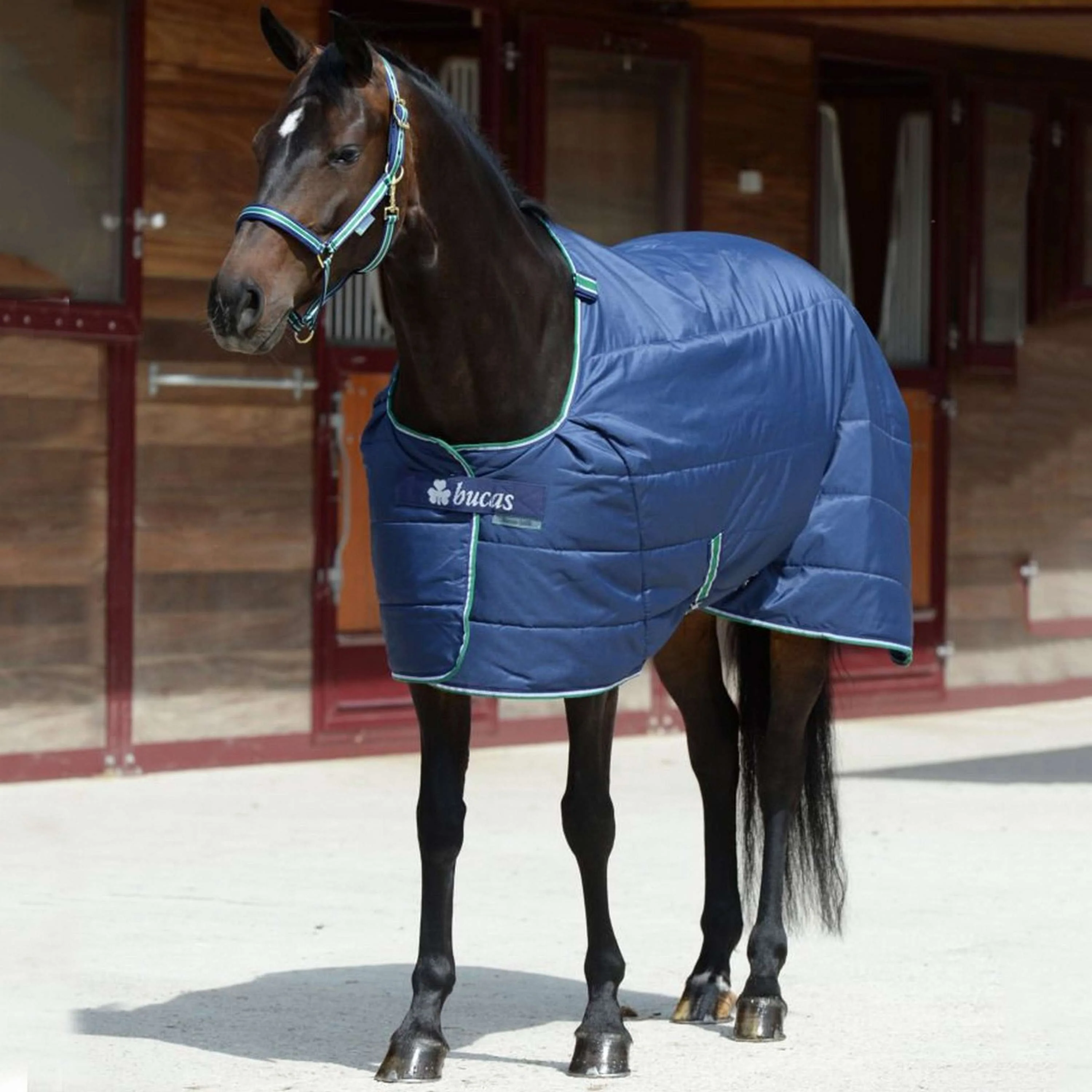 Bucas Quilt 150g SF Marin - Image 10