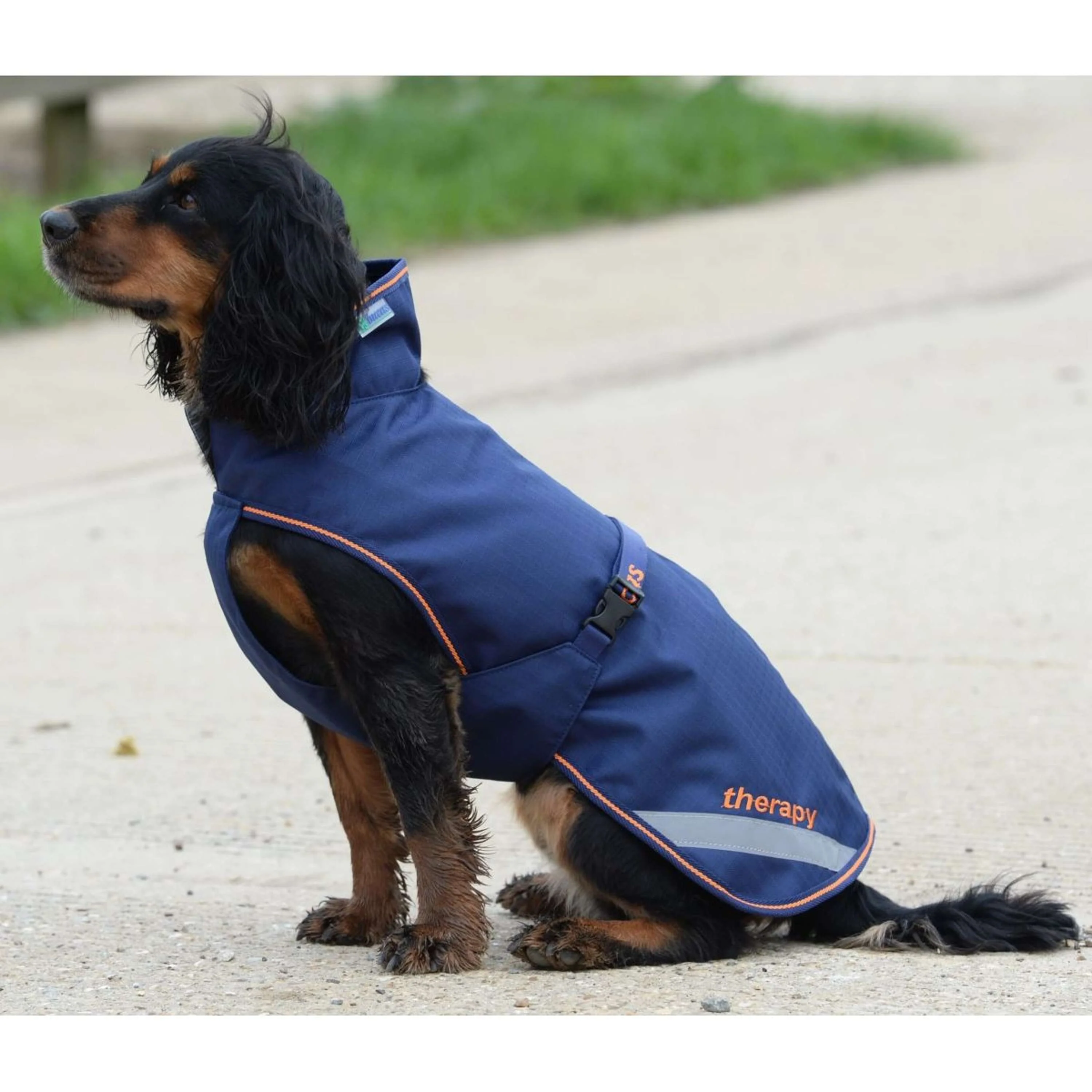 Bucas Therapy Dog Rug Bleu Marine/Orange - Image 11