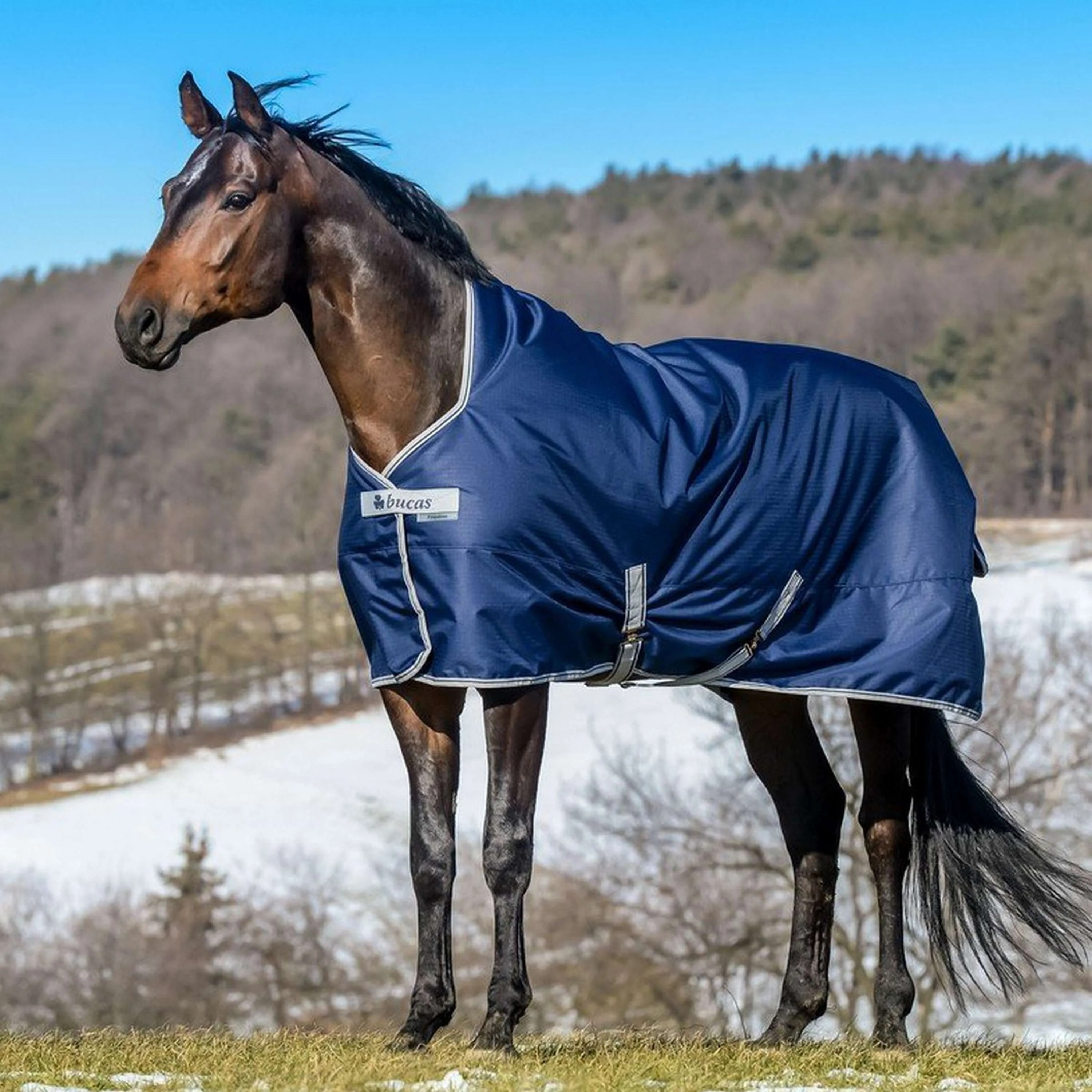 Bucas Turnout Freedom Light High Neck 0g Marin - Image 2