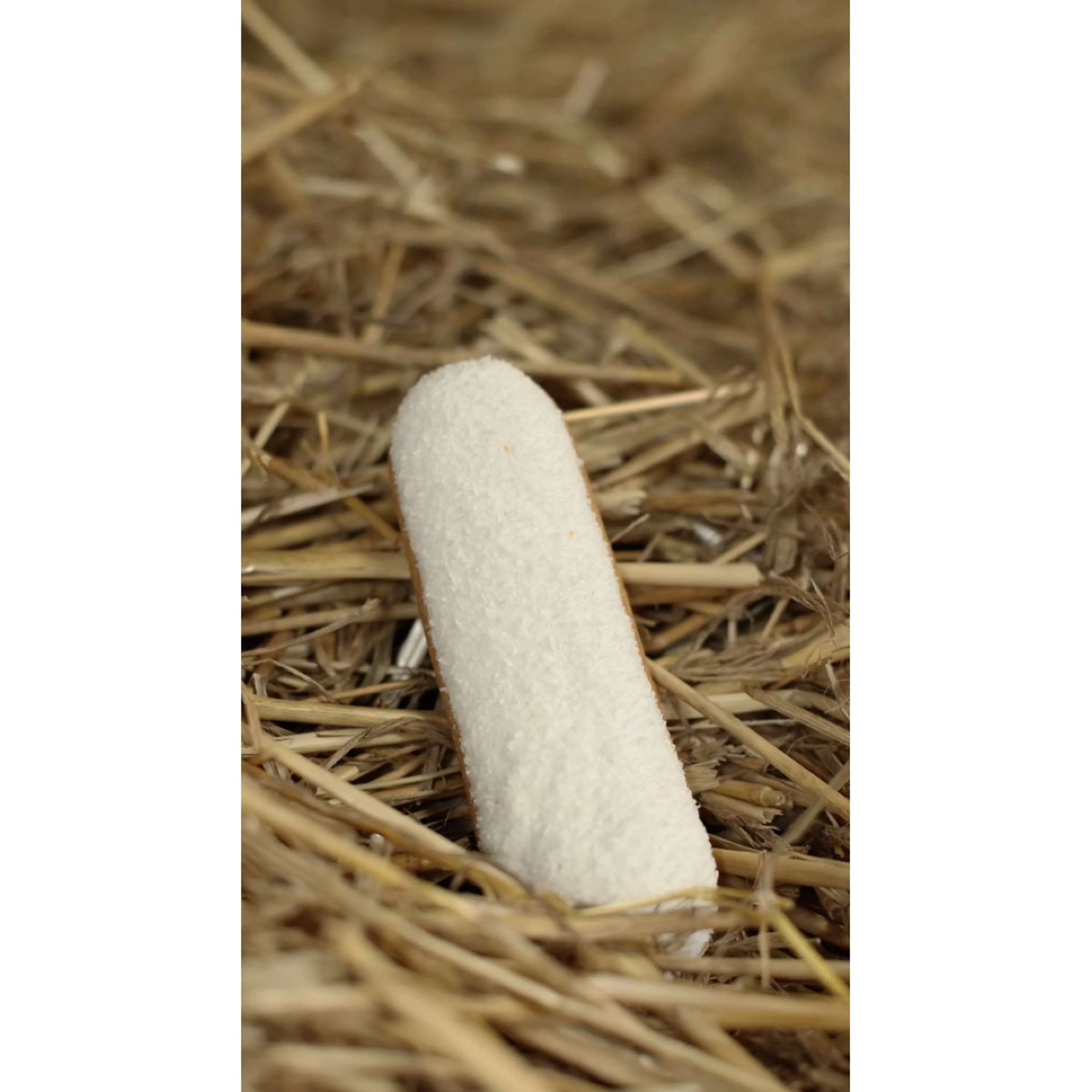 Candy Horse Cookies Coconut Eclair - Image 2