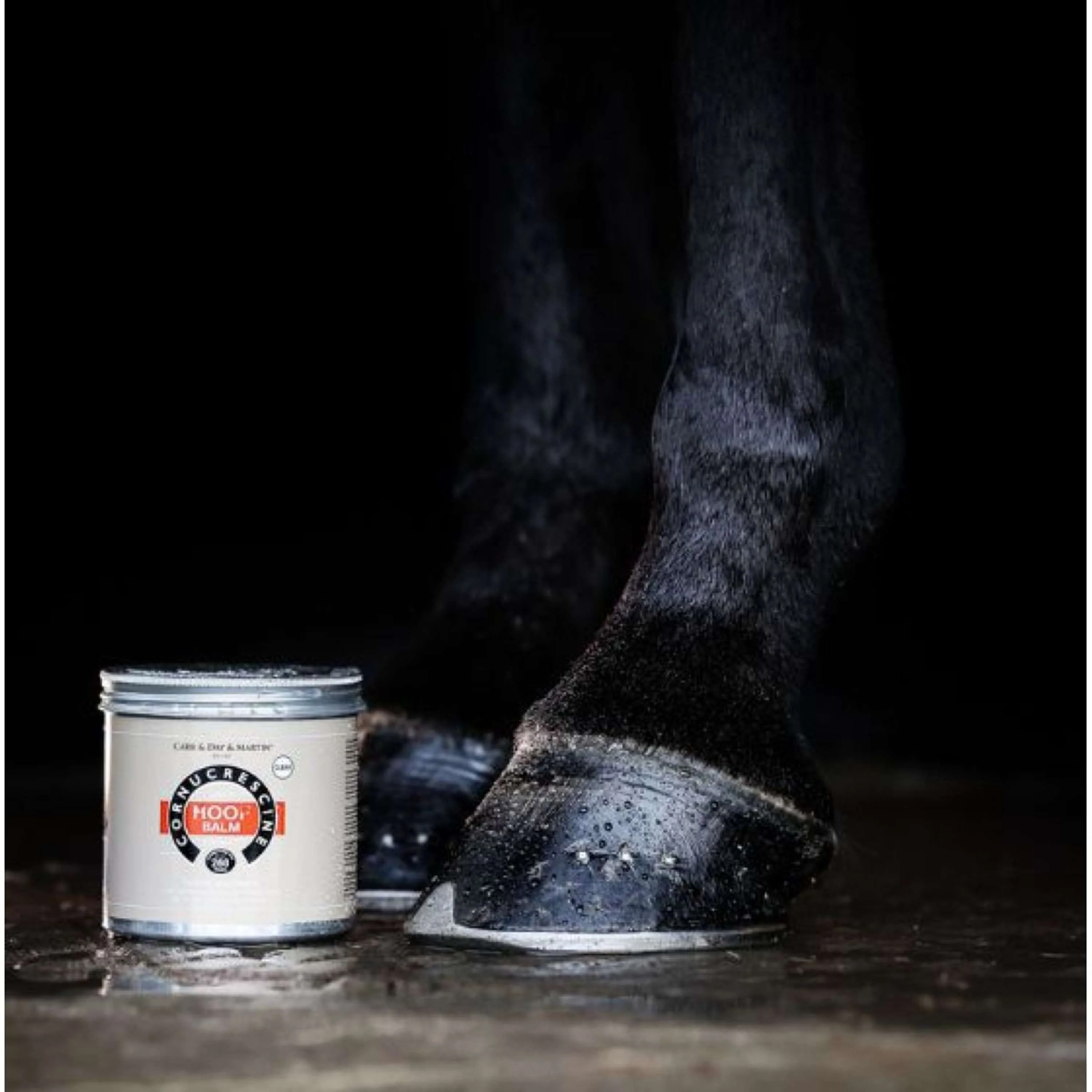 Carr & Day & Martin Cornucrescine Hoof Balm - Image 2