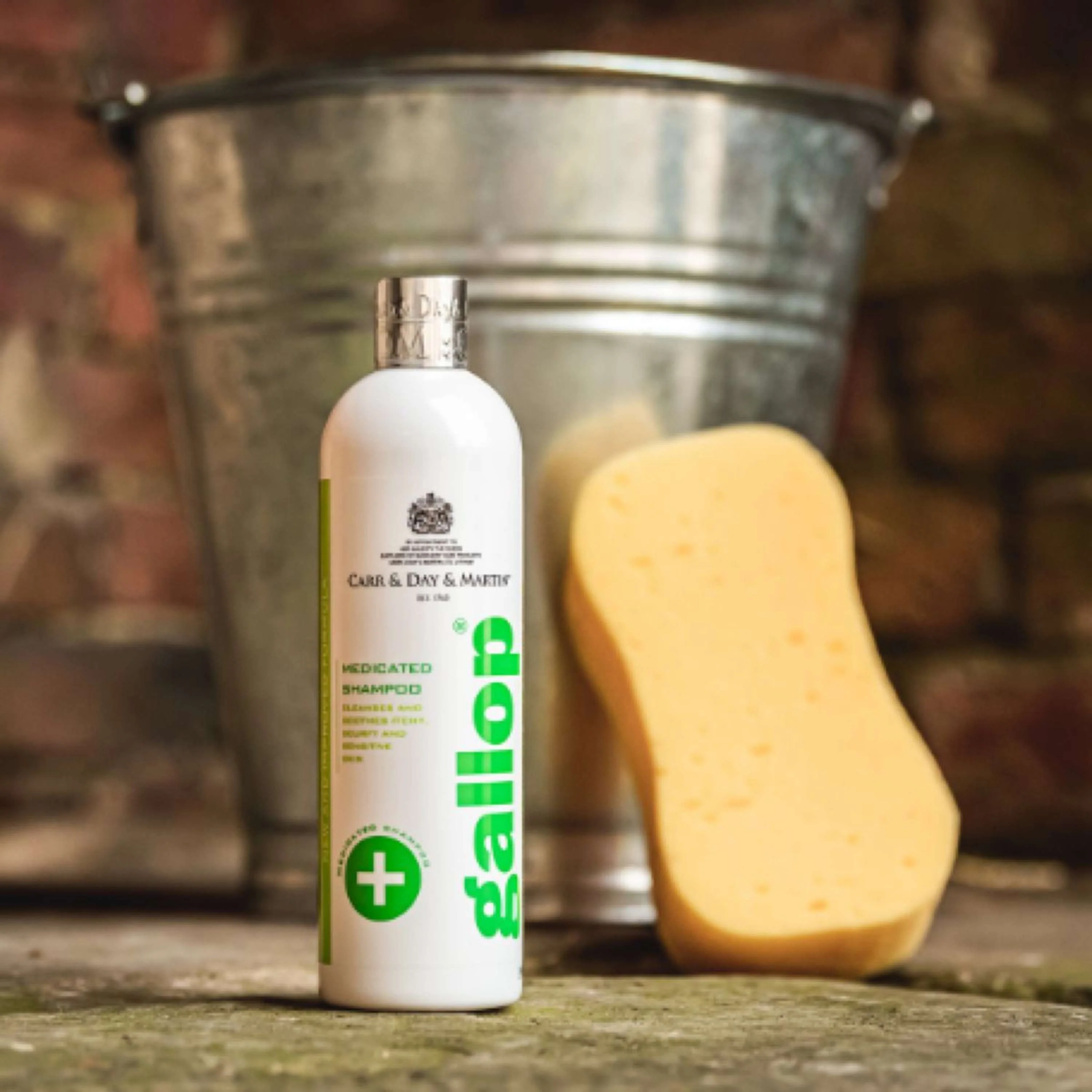 Carr & Day & Martin Shampoo Medicated Skin - Image 2