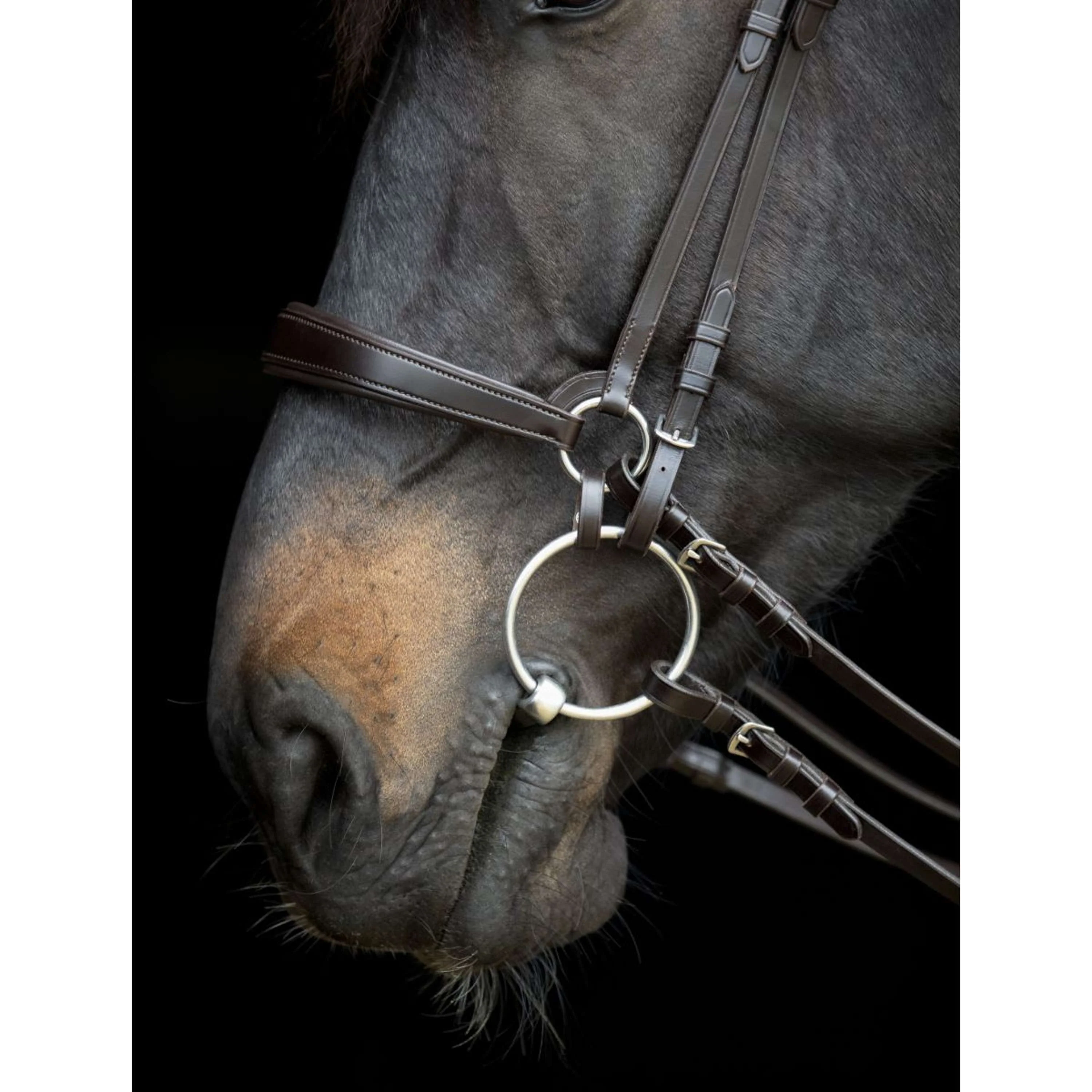 Catago Muserolle Gentle Marron - Image 3
