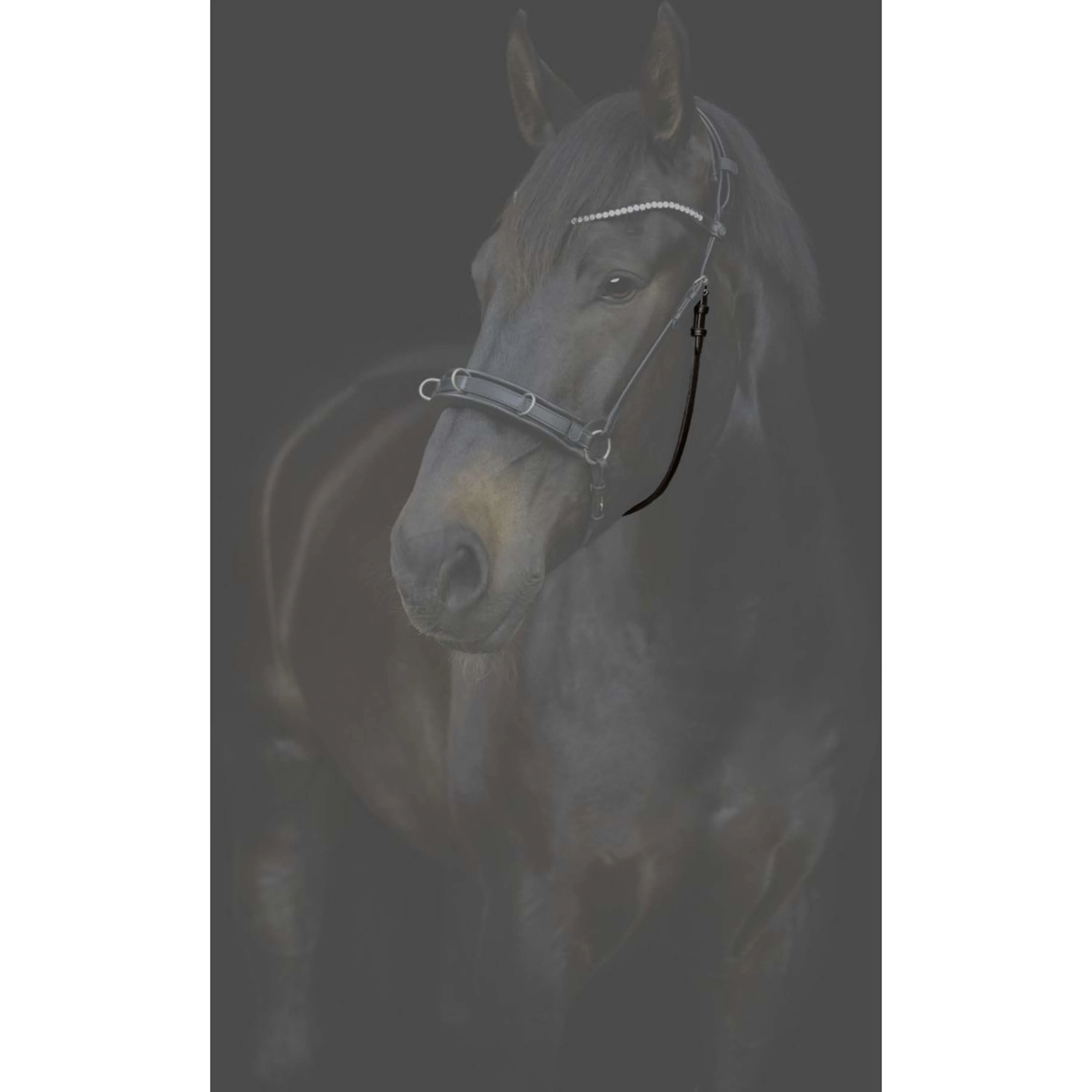 Catago Sous-Gorge Gentle avec Boucles Marron - Image 3