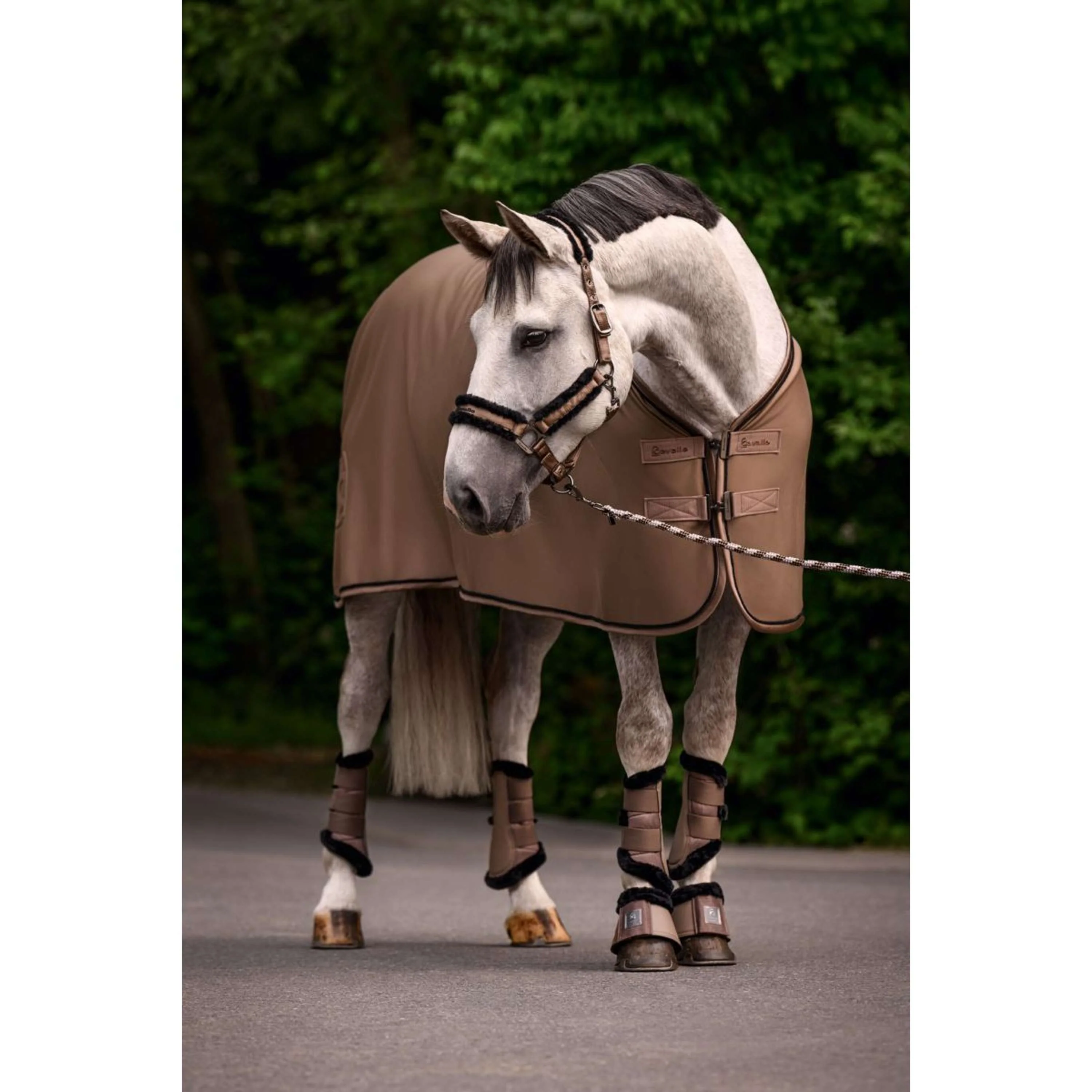 Cavallo Couverture Polaire CavalQuick Dry Cooler Mocha Latte - Image 2