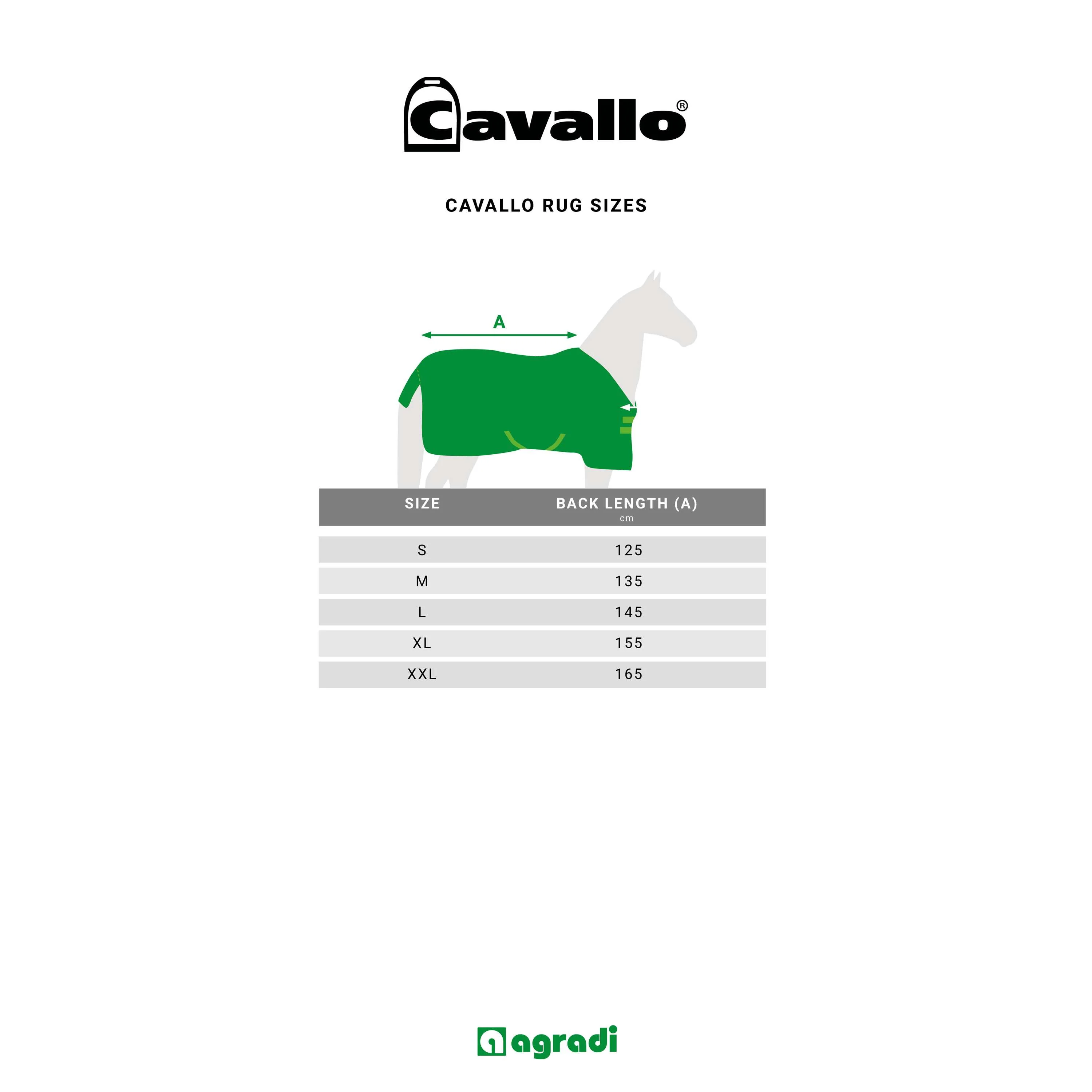 Cavallo Couverture Polaire CavalQuick Dry Cooler Mocha Latte - Image 5