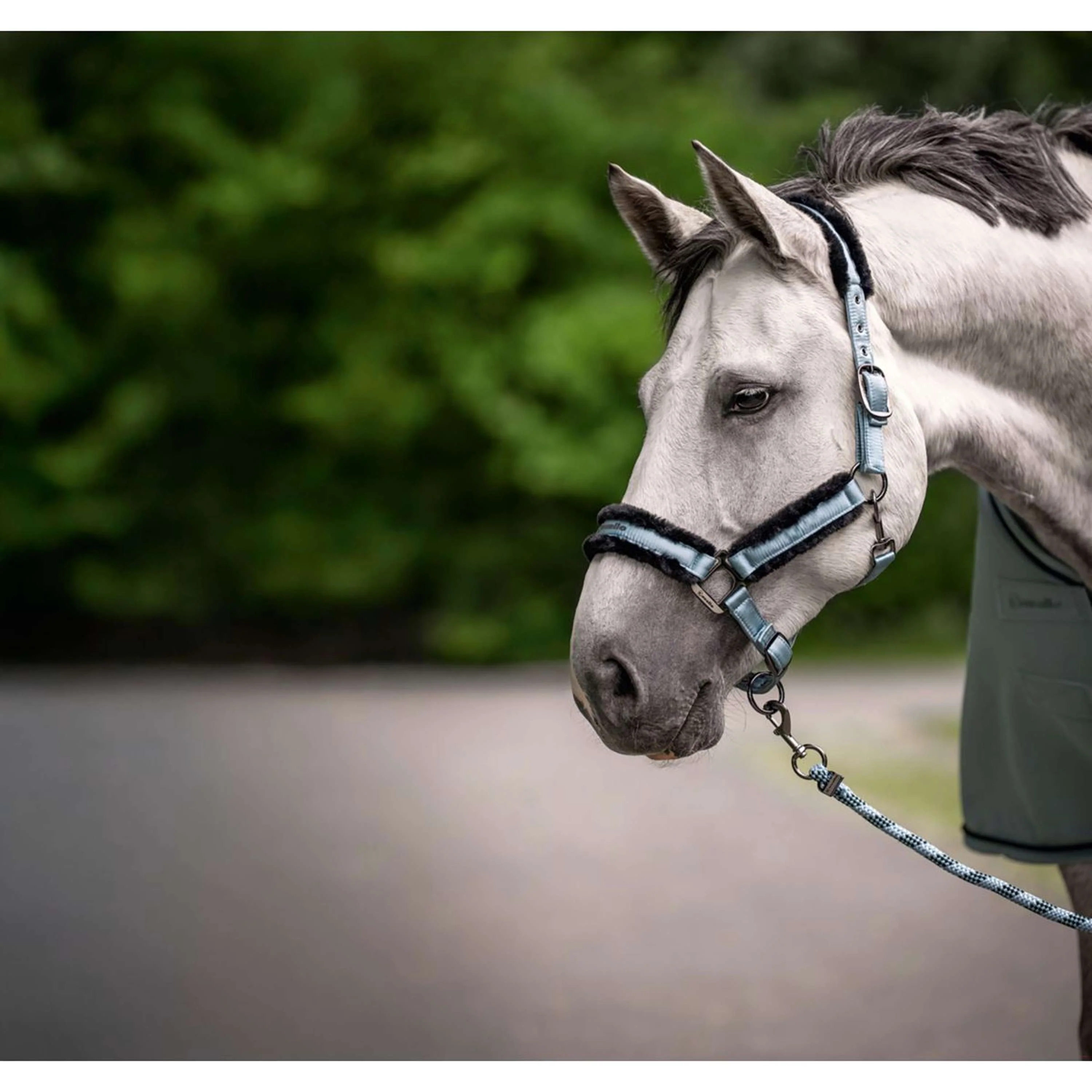 Cavallo Licol CavalJero Soft Aqua - Image 2