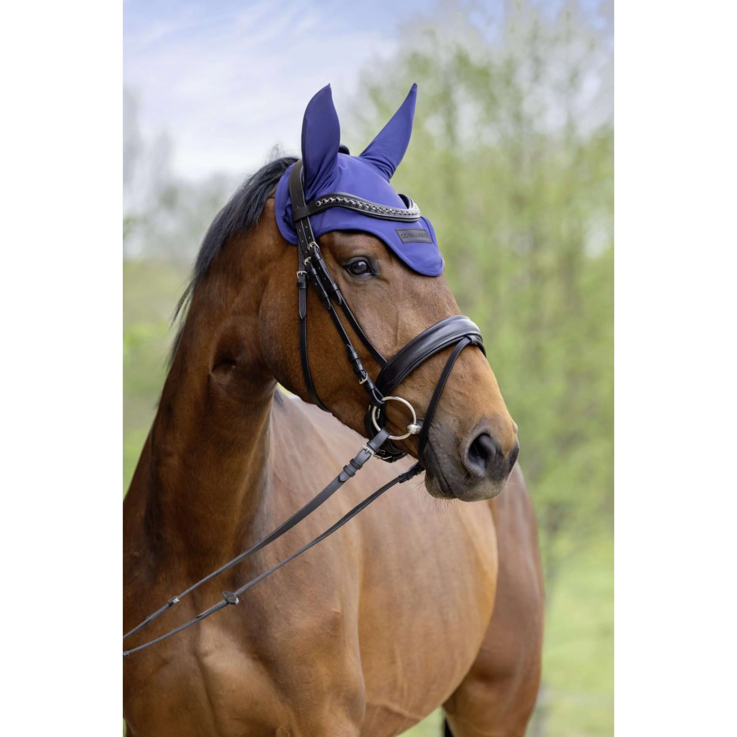 Covalliero Bonnet Anti-Mouches SS26 Foncé Marine - Image 2