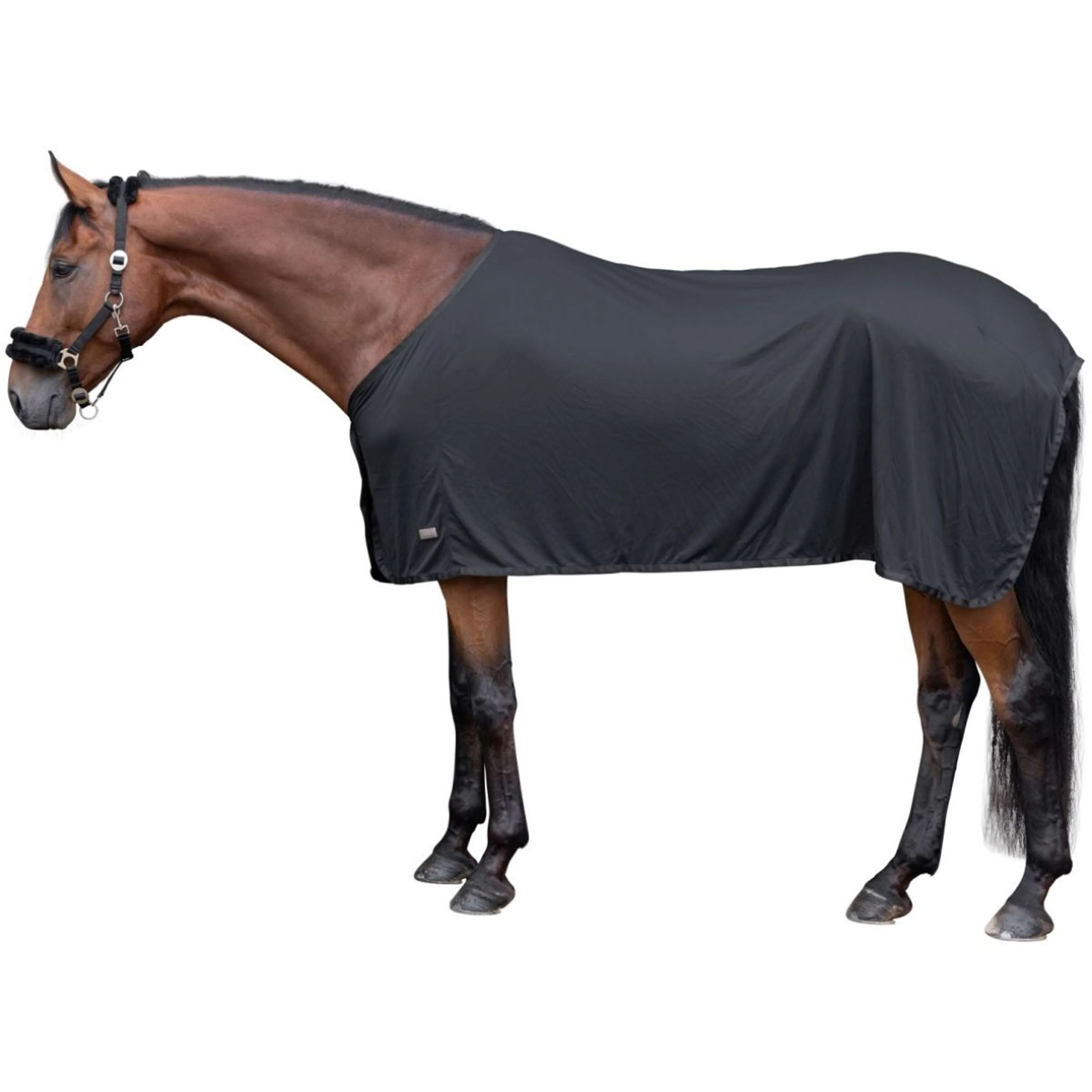 Covalliero Chemise Rafraîchissante Cooling Noir - Image 5