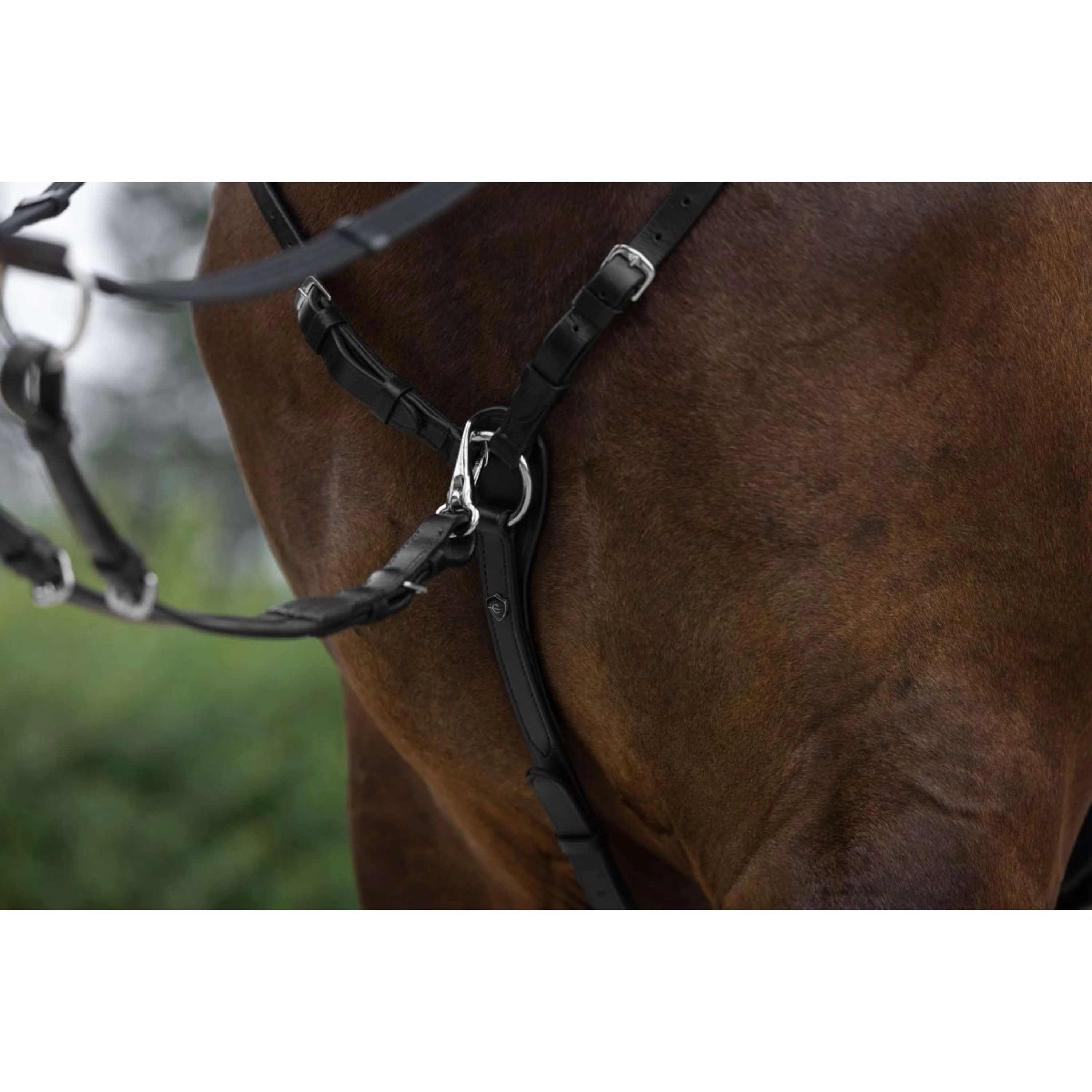 Covalliero Collier de Chasse avec Martingale Noir - Image 2
