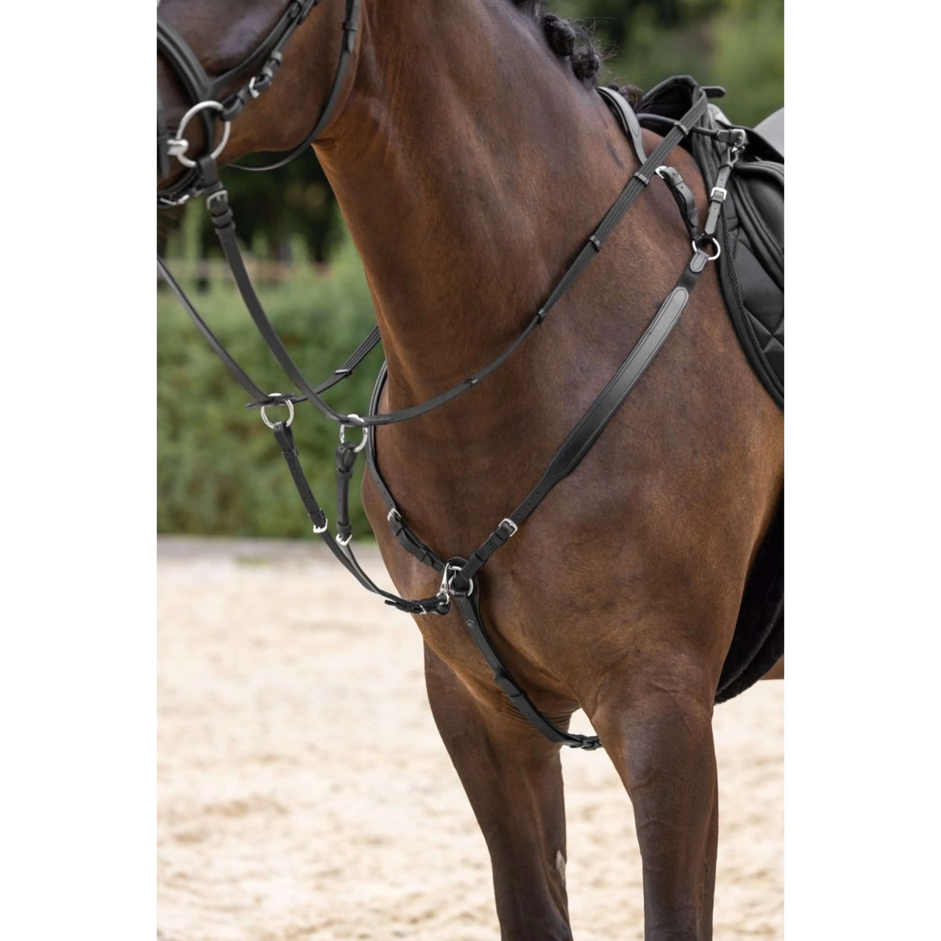 Covalliero Collier de Chasse avec Martingale Noir - Image 3