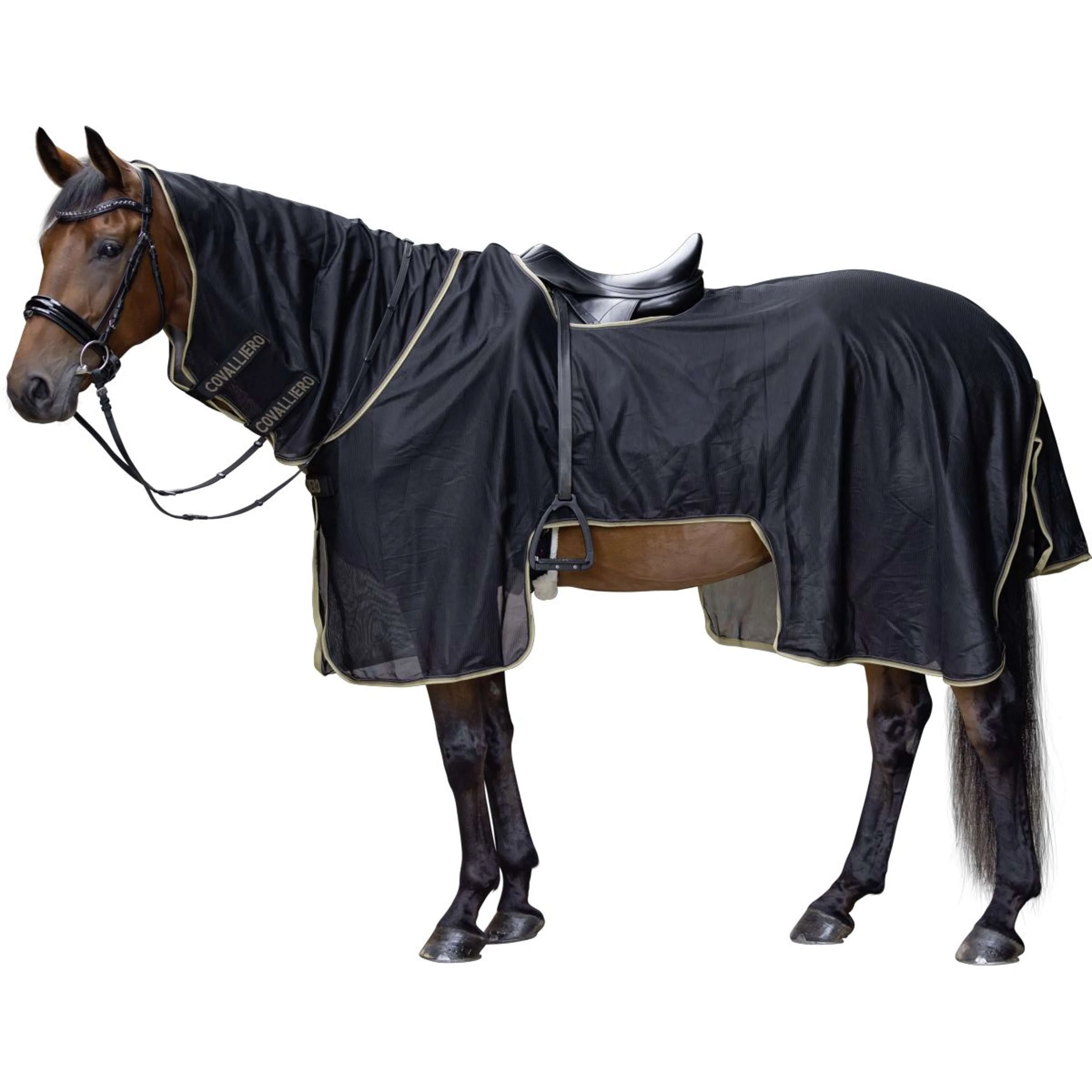 Covalliero Couvre-reins SS26 Noir - Image 3