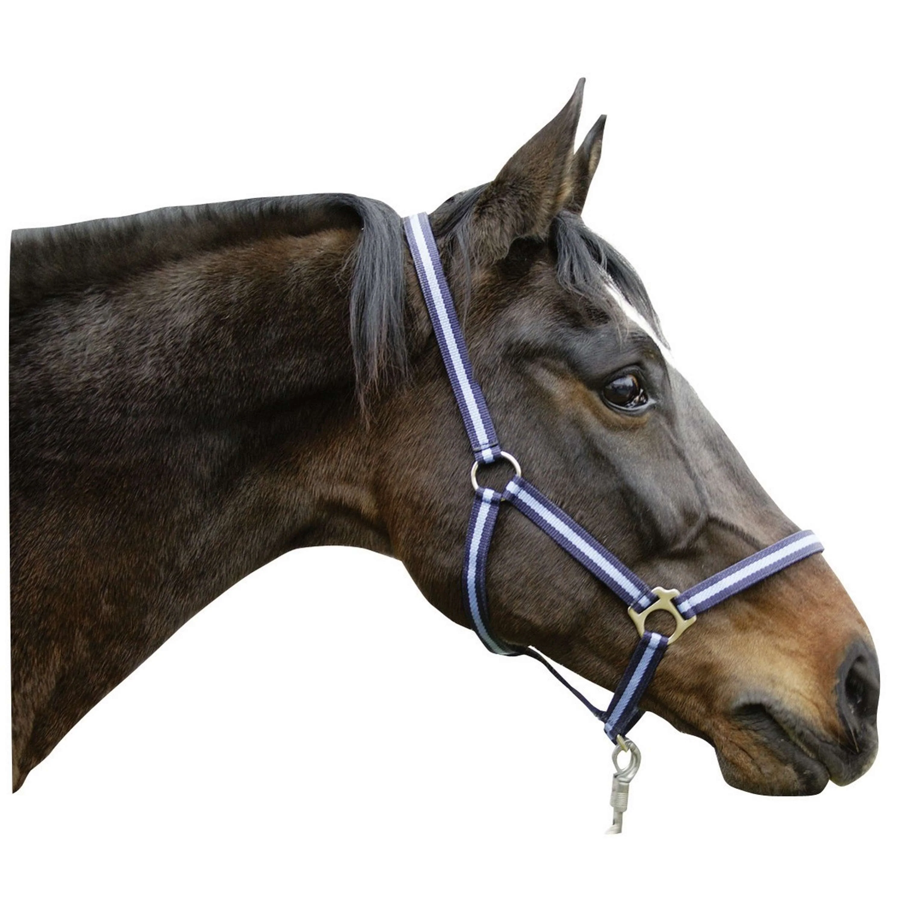 Covalliero Licol Hippo Marin/clair - Image 2