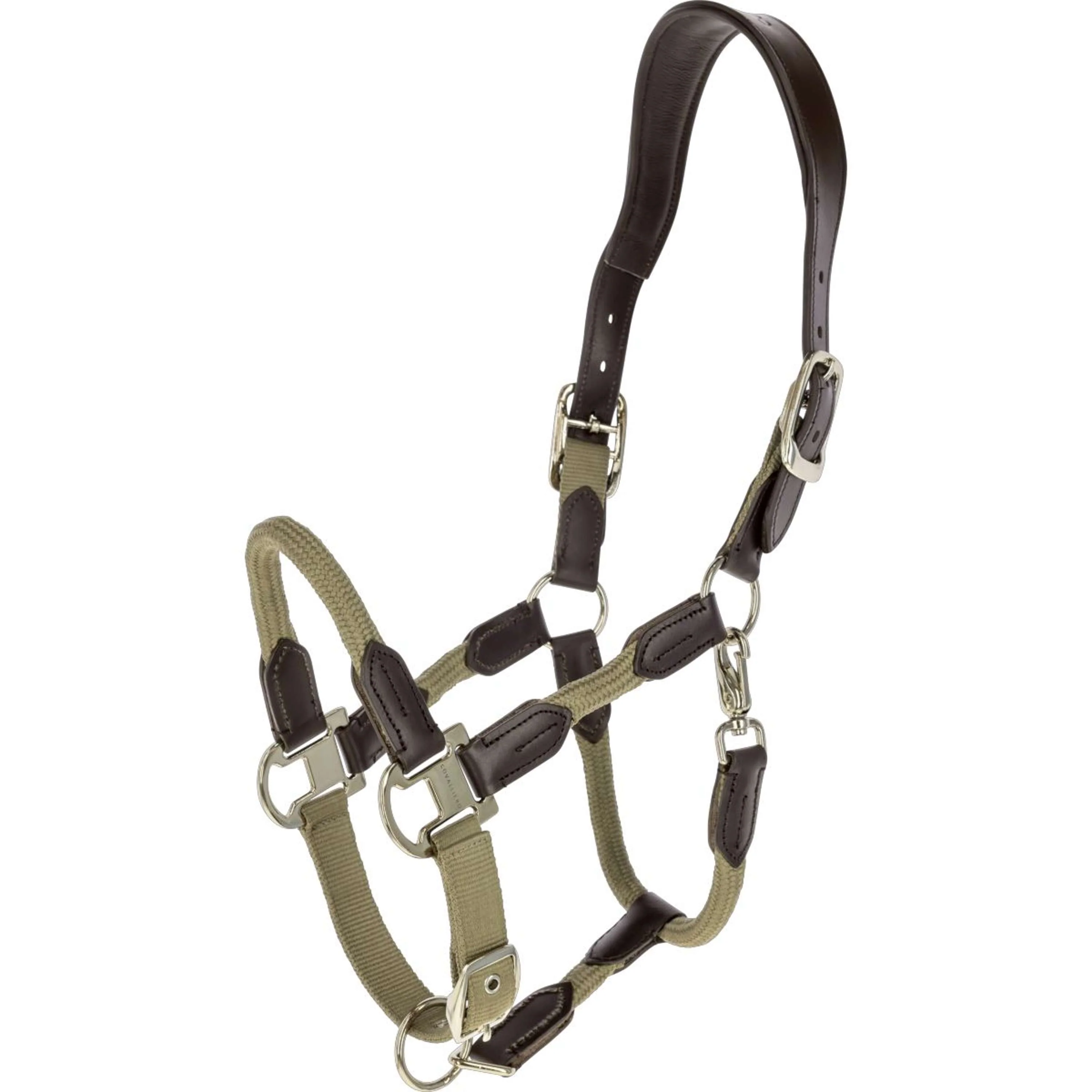 Covalliero Licol SS26 Noix