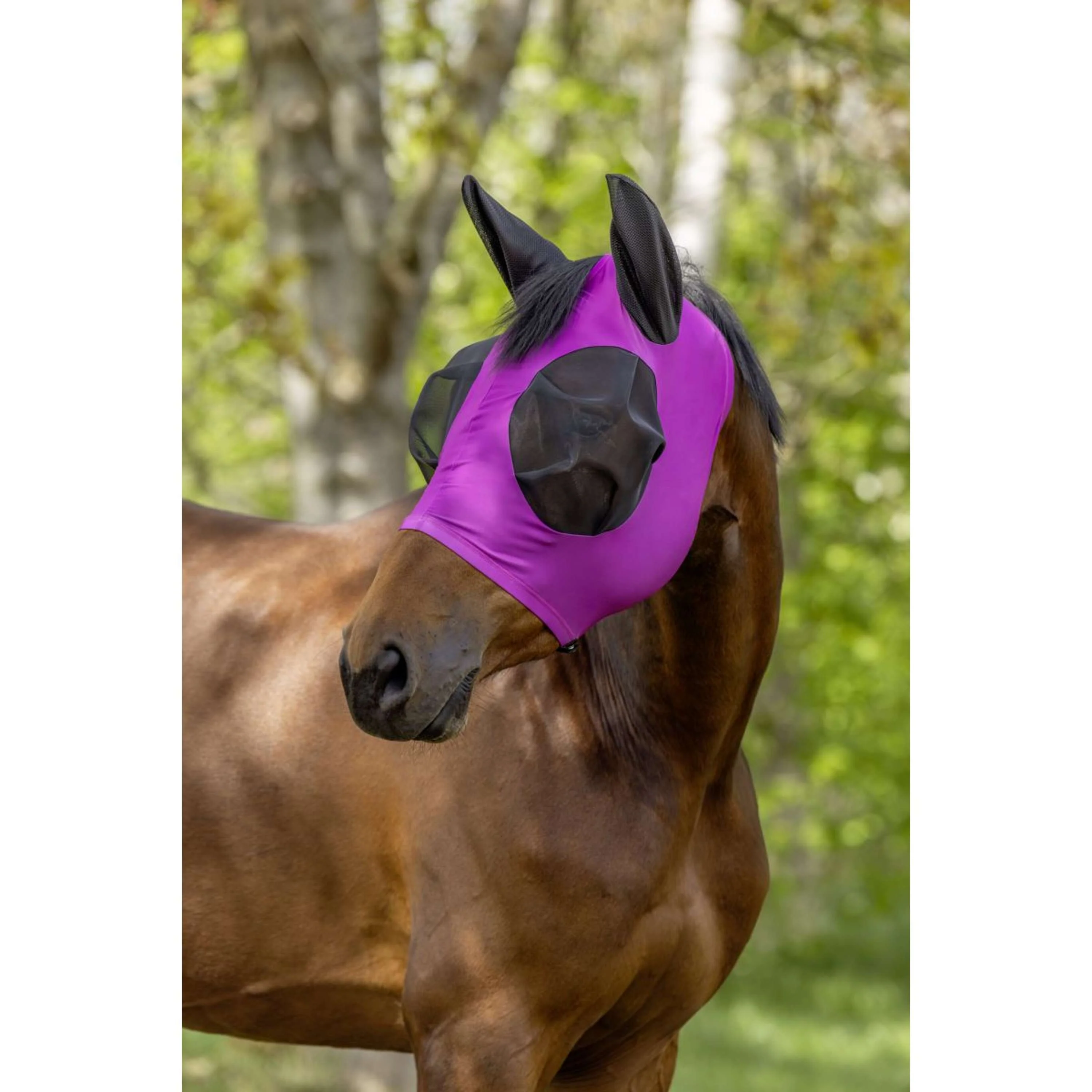 Covalliero Masque Anti-Mouches FinoStretch Light Berry