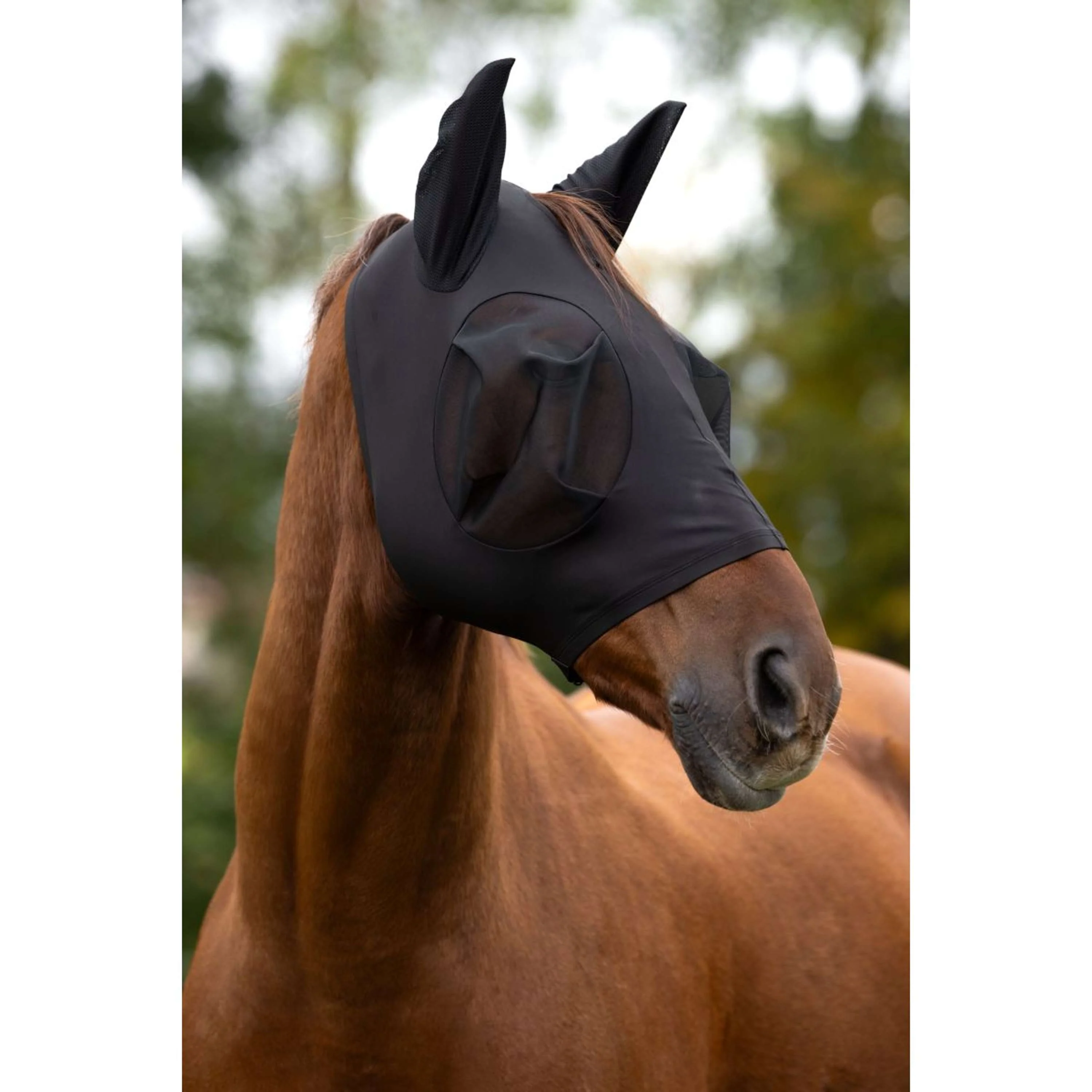 Covalliero Masque Anti-Mouches FinoStretch Noir - Image 2