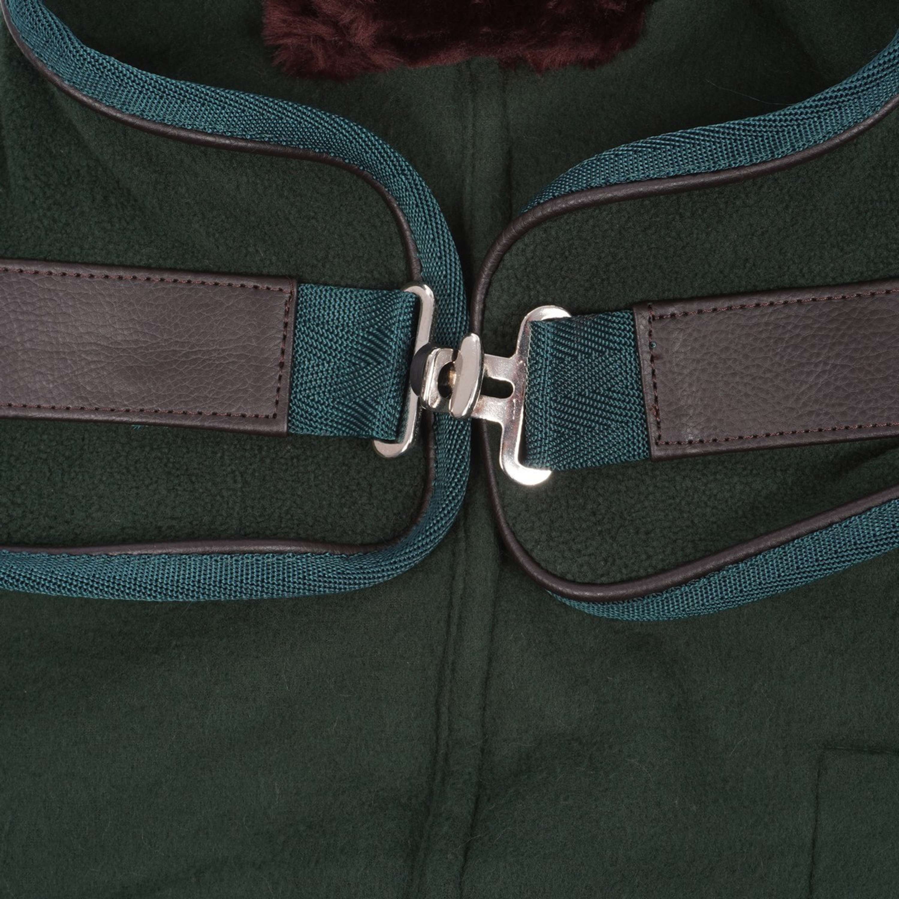 Diego & Louna Couverture pour Chien Polar Vert - Image 5