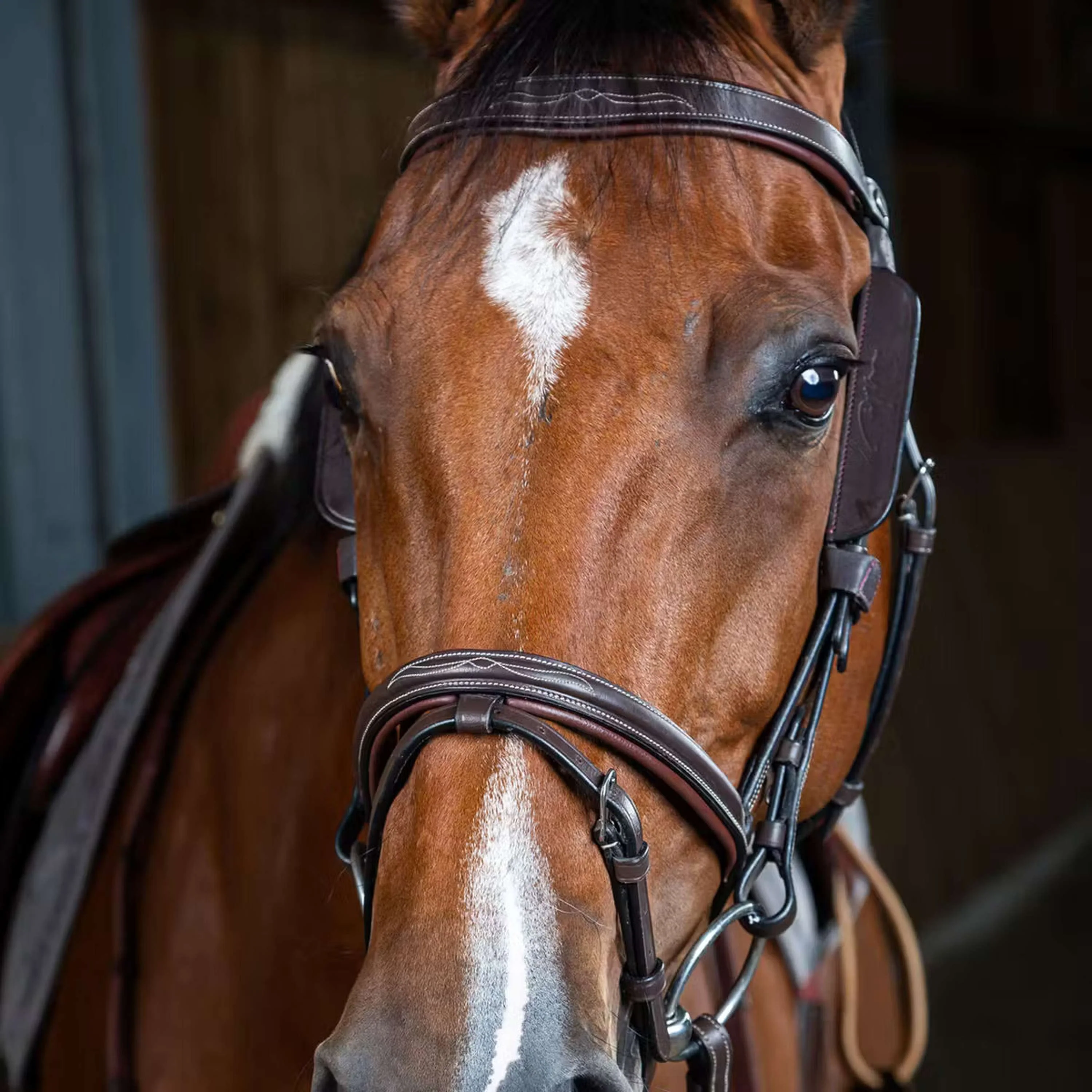 Dyon Blinkers Marron - Image 3