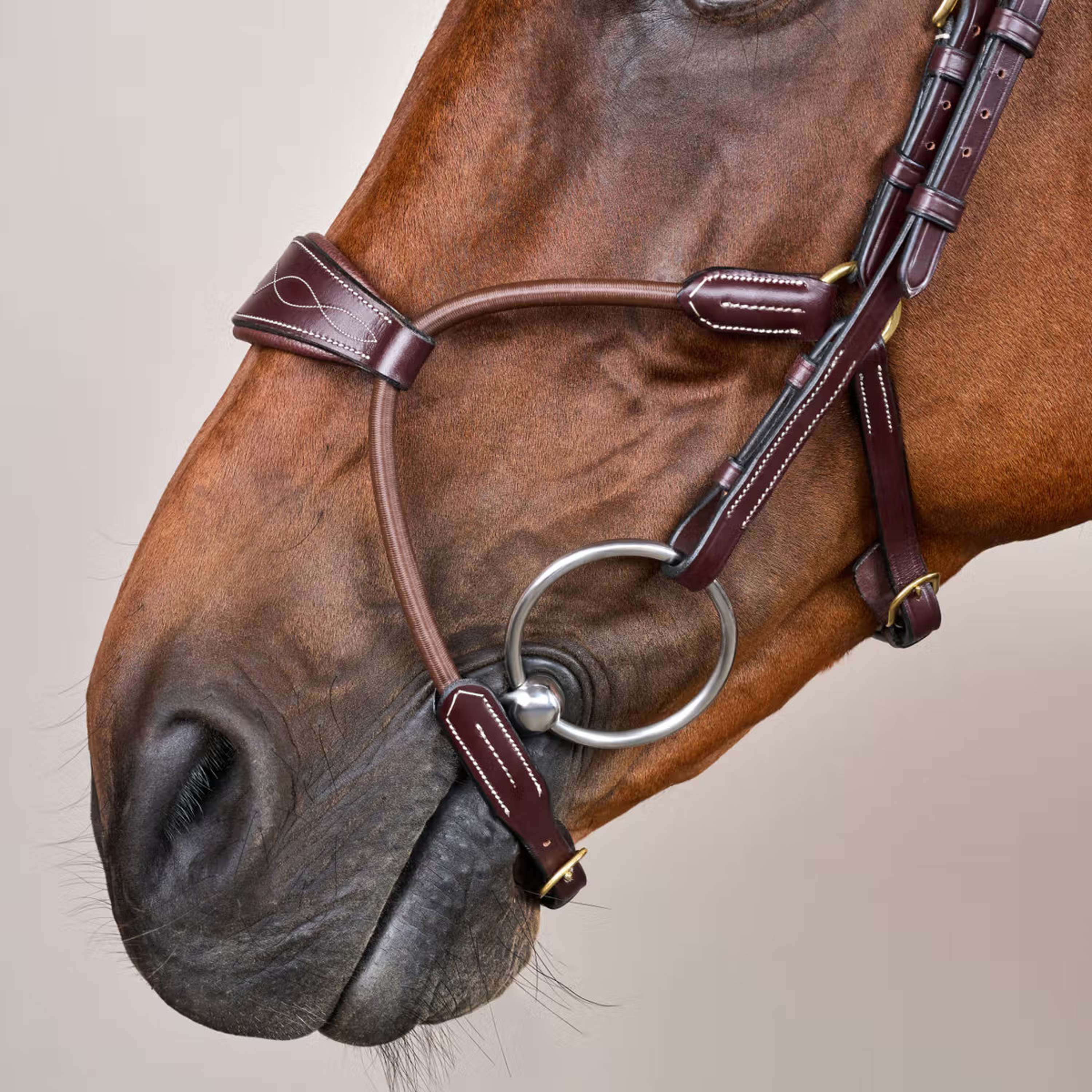 Dyon Bride Elastic Hybrid Marron - Image 3