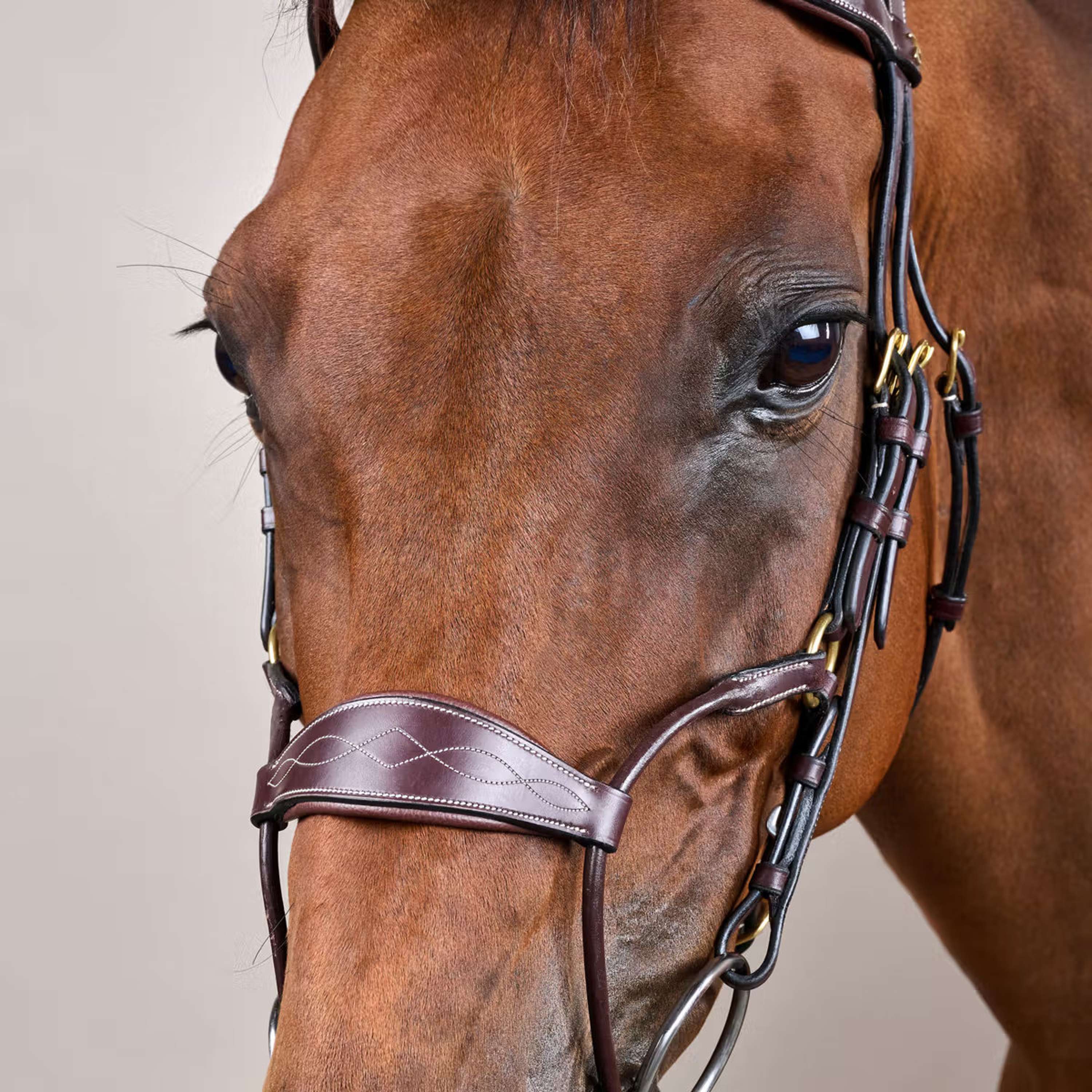 Dyon Bride Hybrid Marron - Image 3