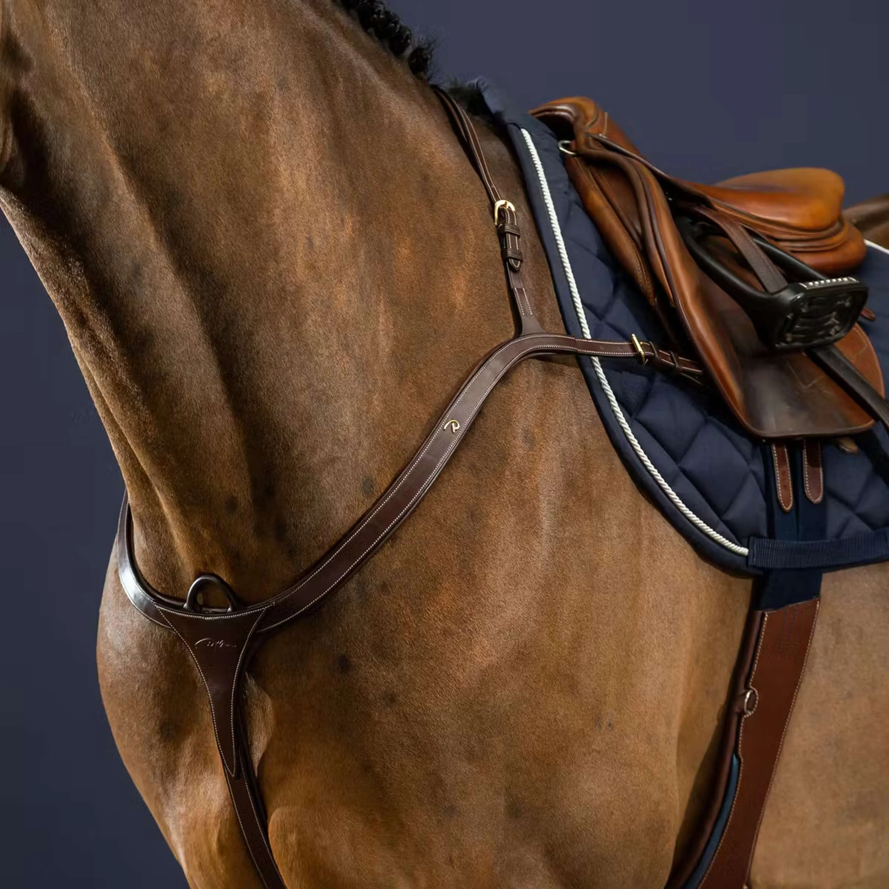 Dyon Collier de Chasse Long Bridge Marron/Cuivre - Image 3
