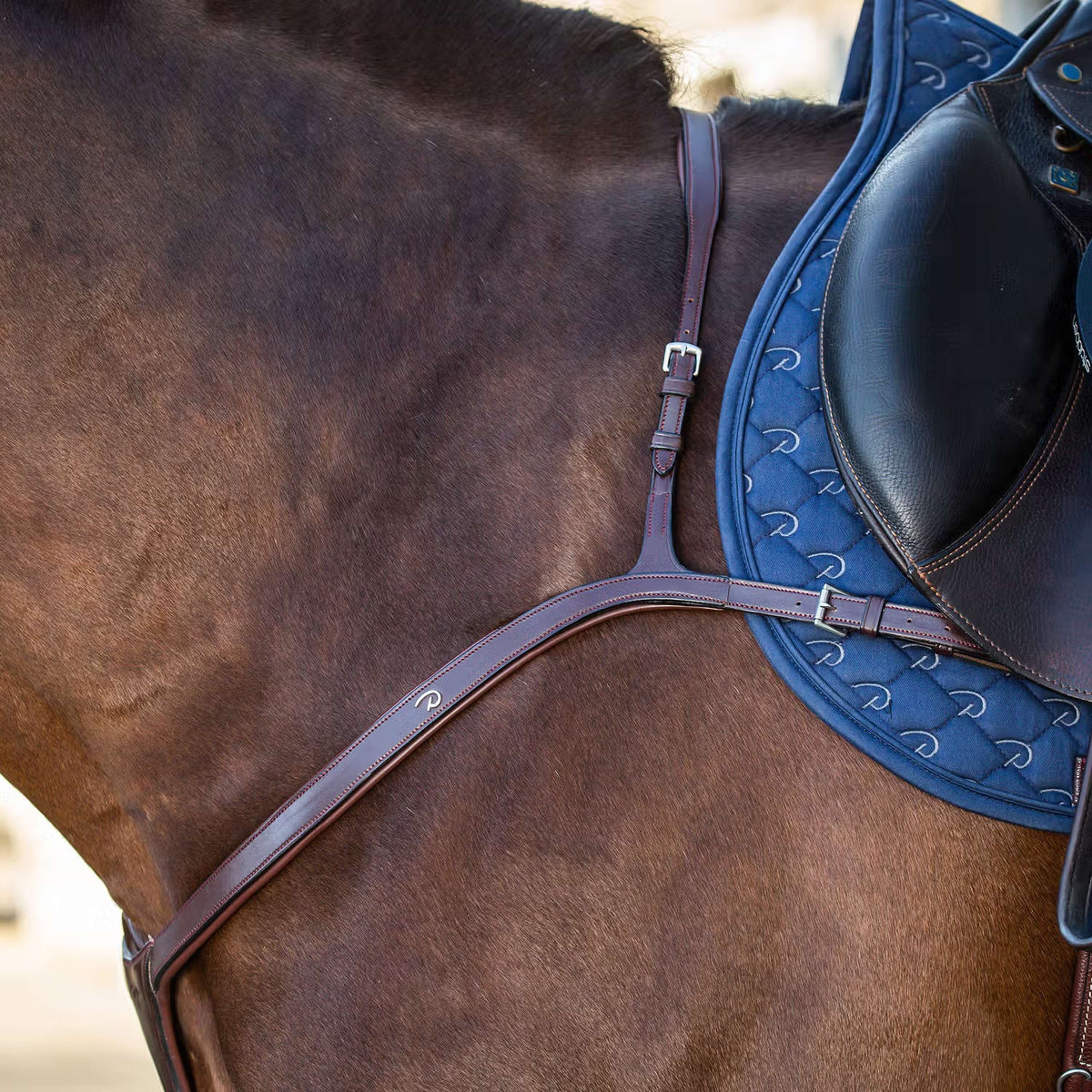 Dyon Collier de Chasse Long Bridge New English Collection Marron