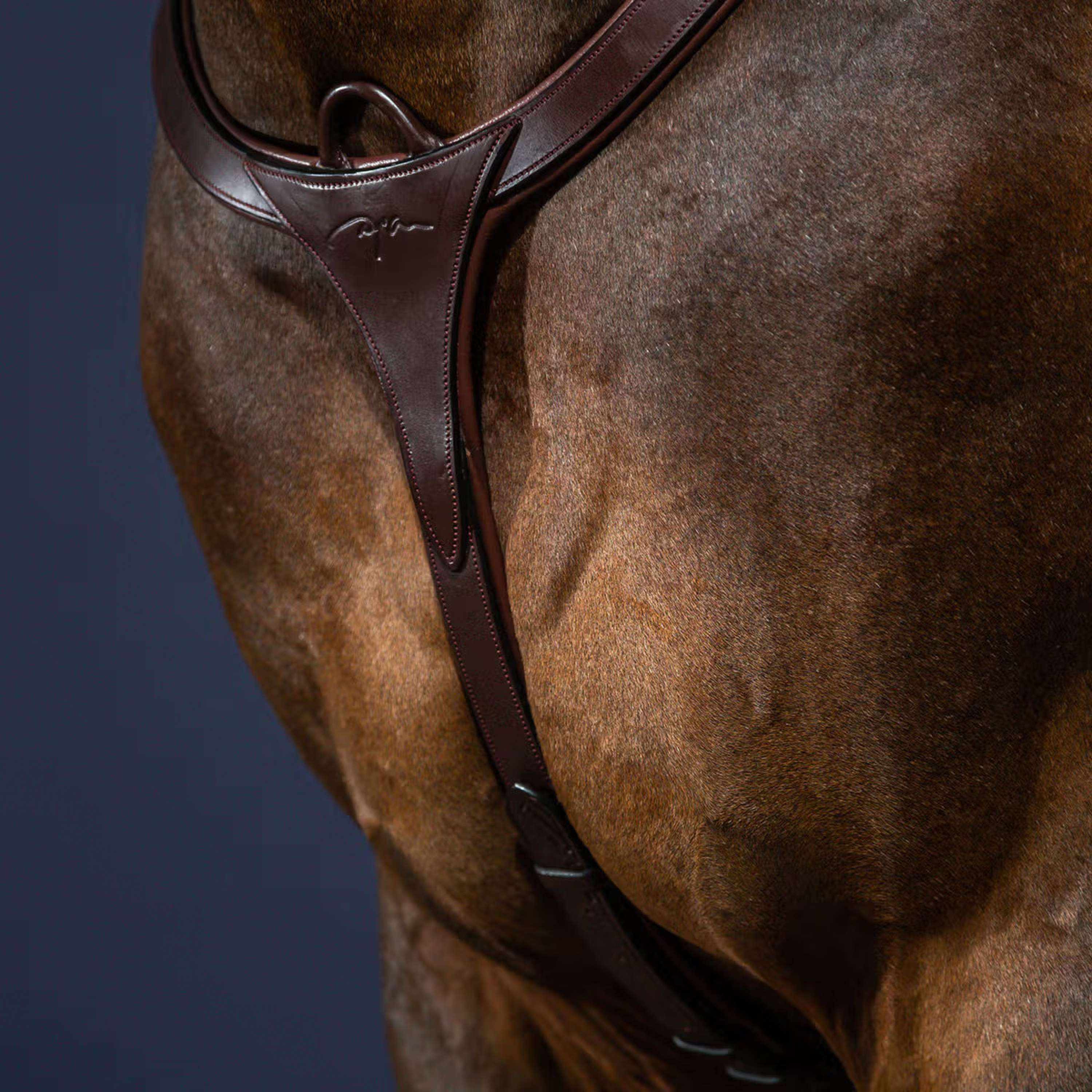 Dyon Collier de Chasse Long Bridge New English Collection Marron - Image 2