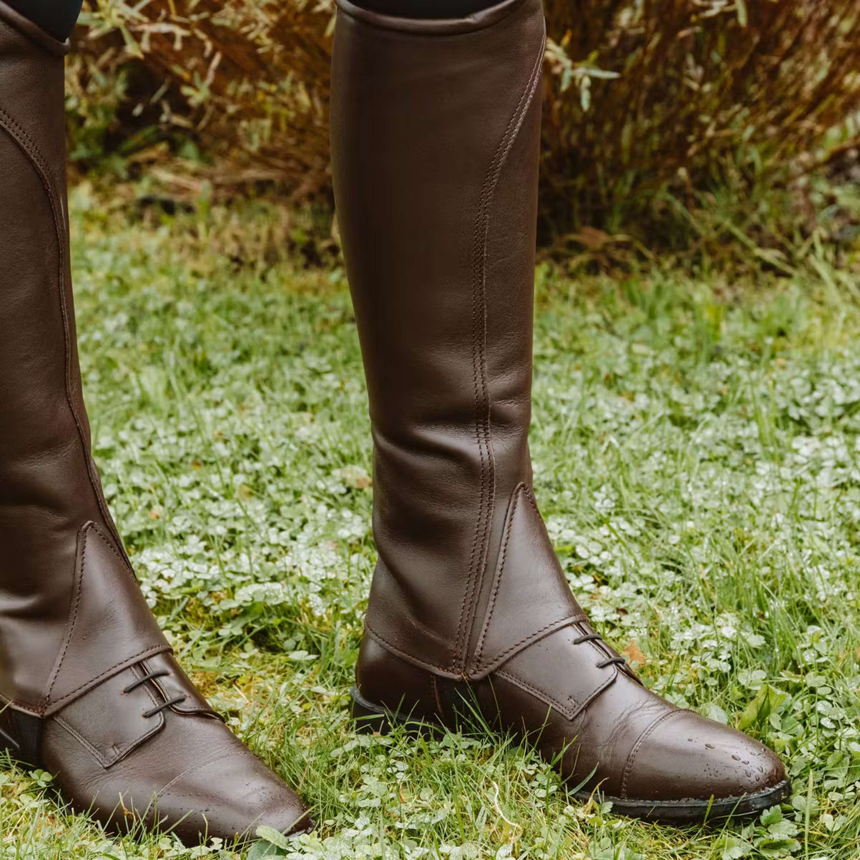 Dyon Jodhpurs Front laces Marron - Image 10