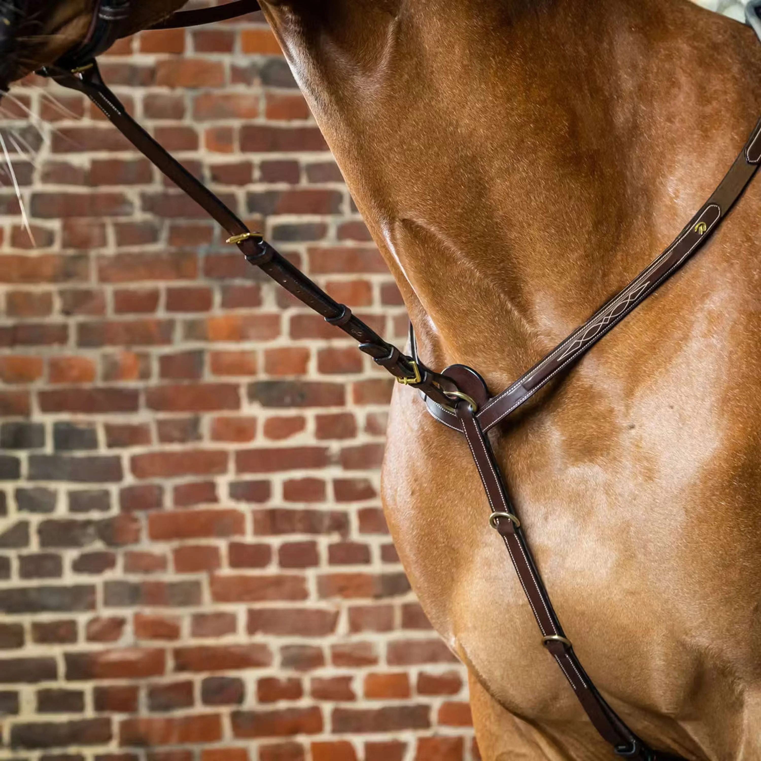 Dyon Martingale Standing Marron - Image 2