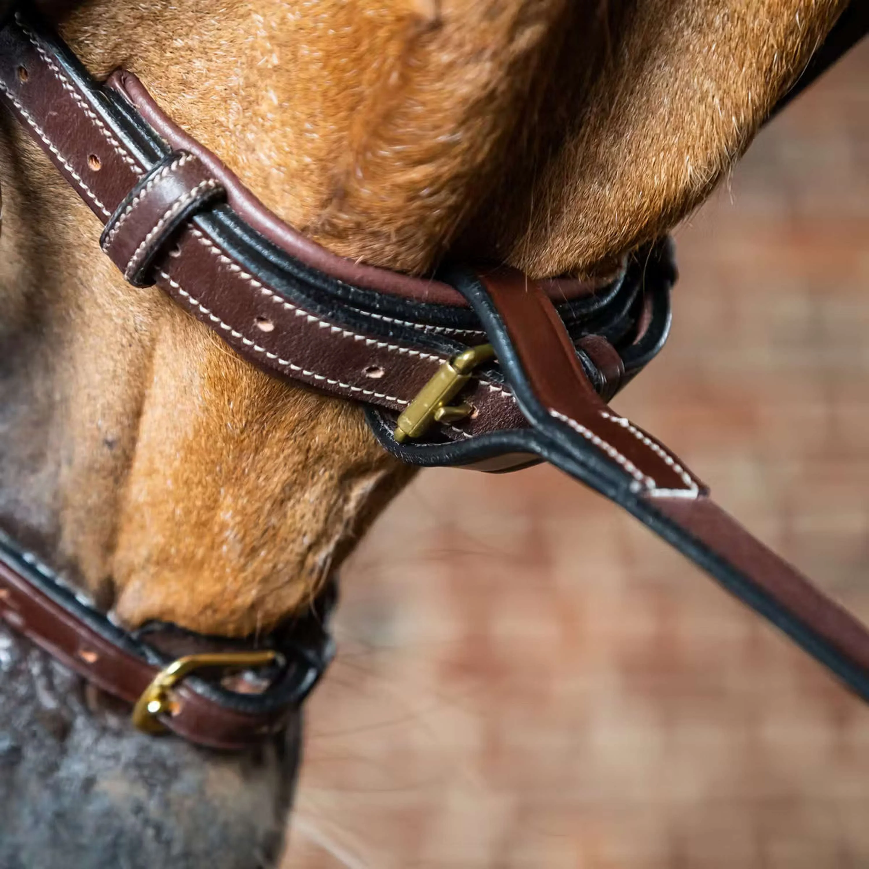 Dyon Martingale Standing Marron - Image 3