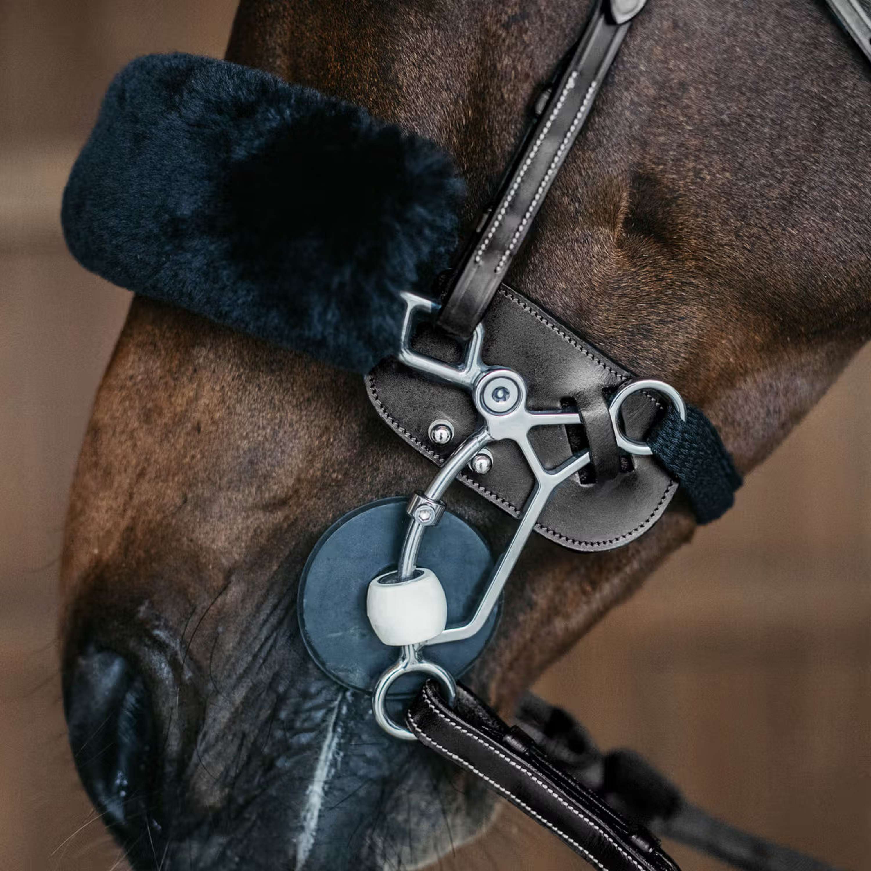 Dyon Protection Hackamore Noir - Image 2