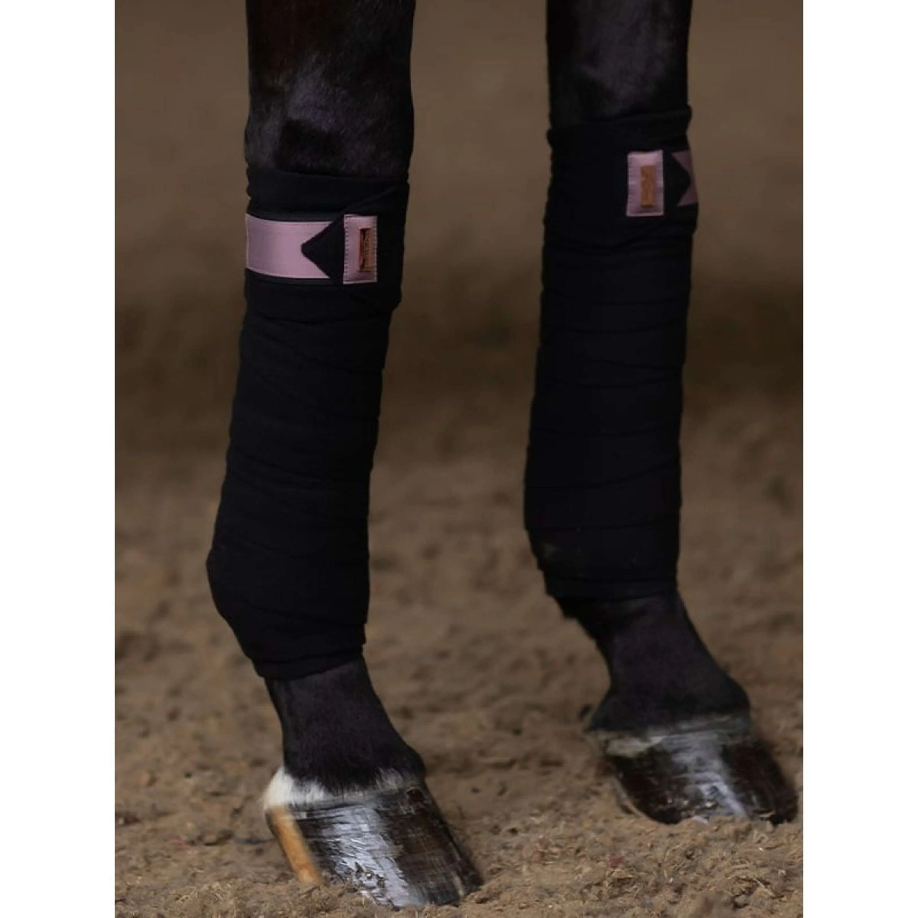 Equestrian Stockholm Bandages Anemone - Image 2