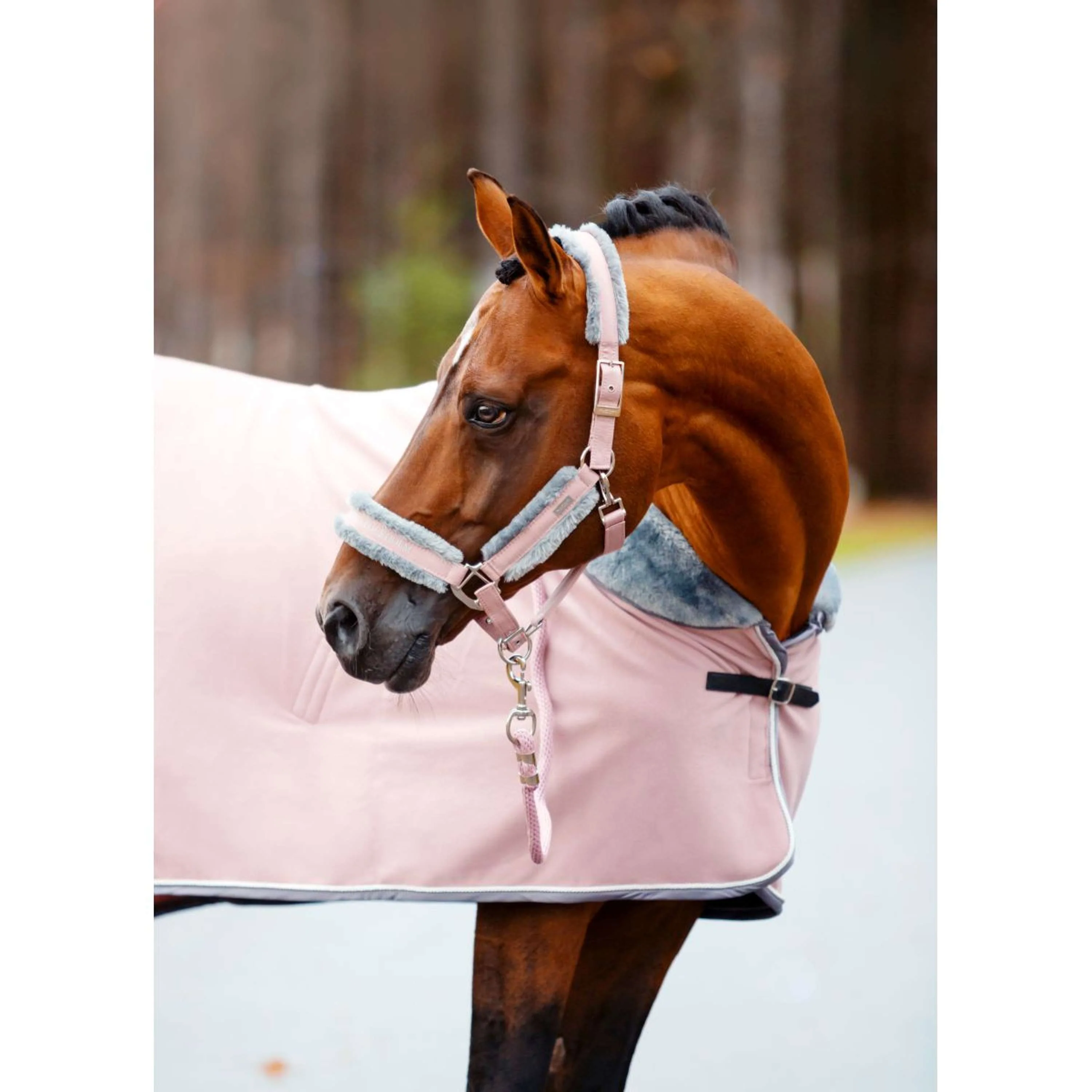 Equestrian Stockholm Couverture Polaire Fur Rose - Image 2