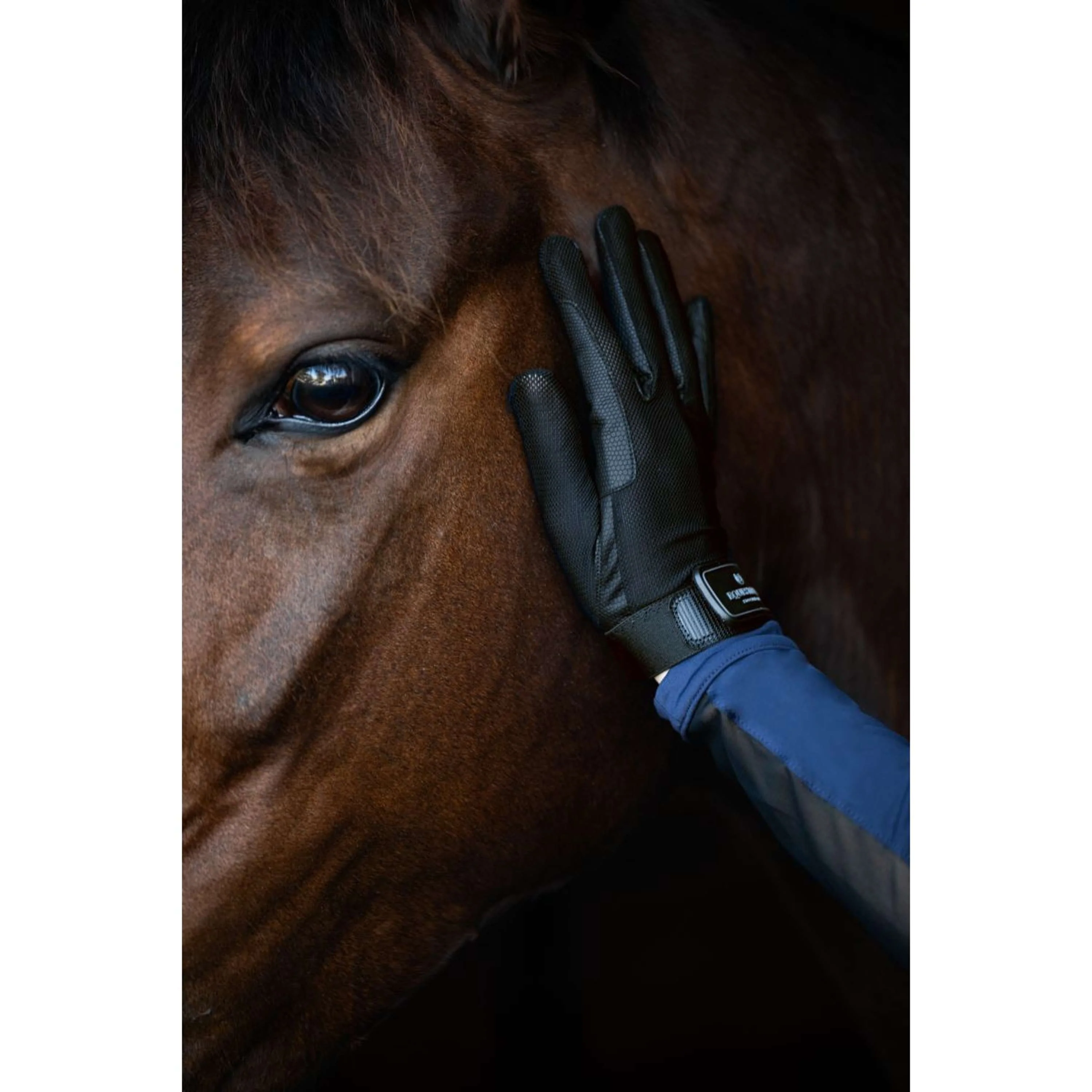 Equestrian Stockholm Gants d'Équitation Summer Black Edition - Image 3