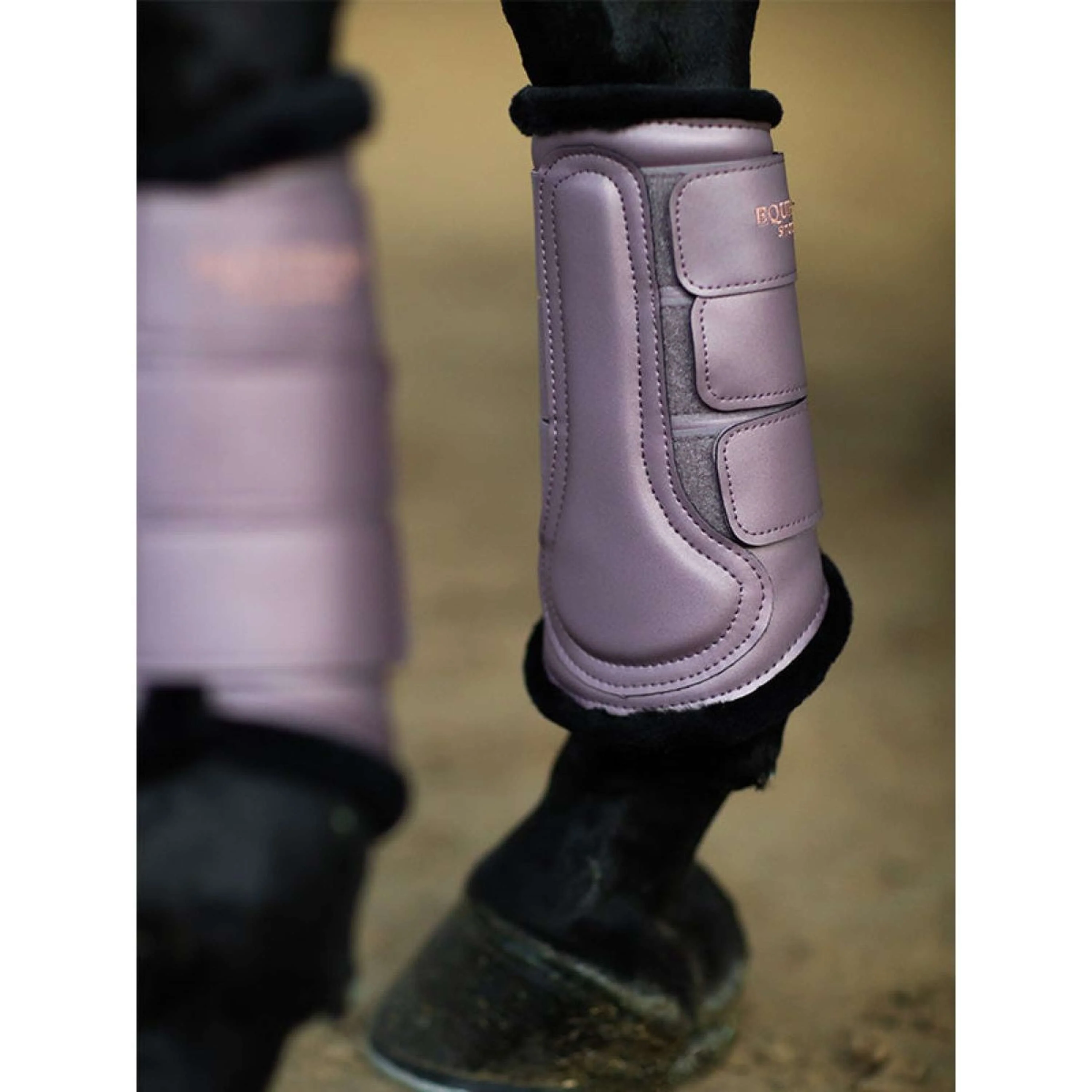 Equestrian Stockholm Guêtres Anemone - Image 3