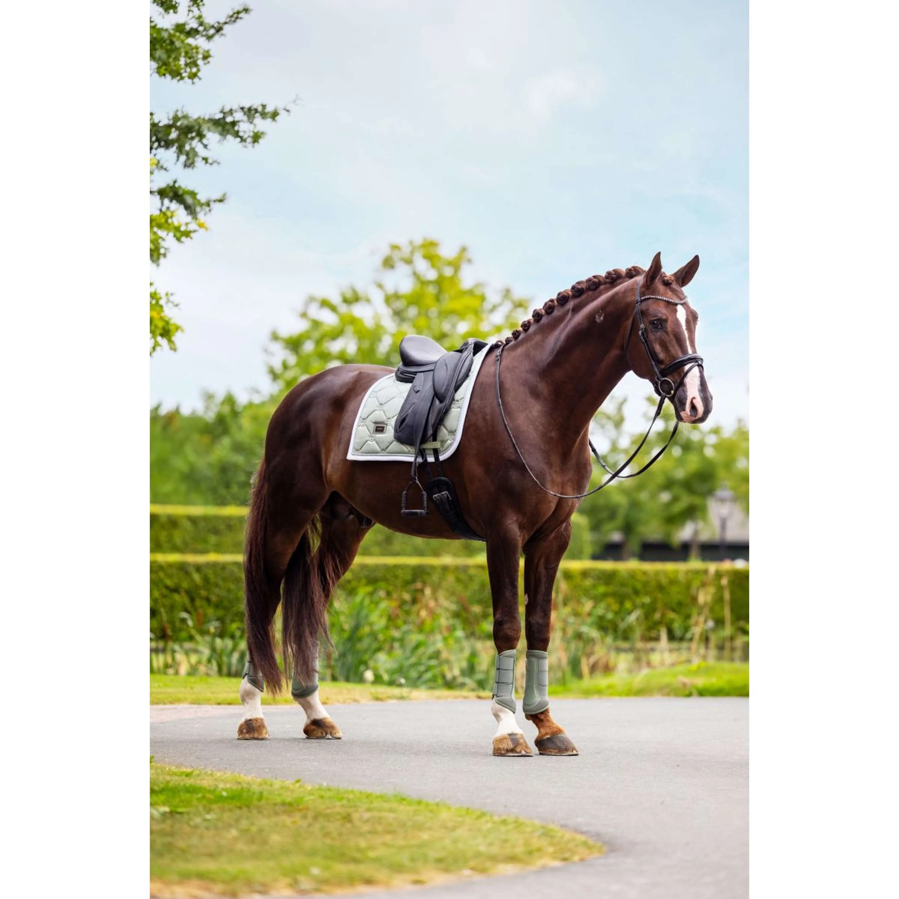 Equestrian Stockholm Guêtres Classic Mesh Pistachio White - Image 6