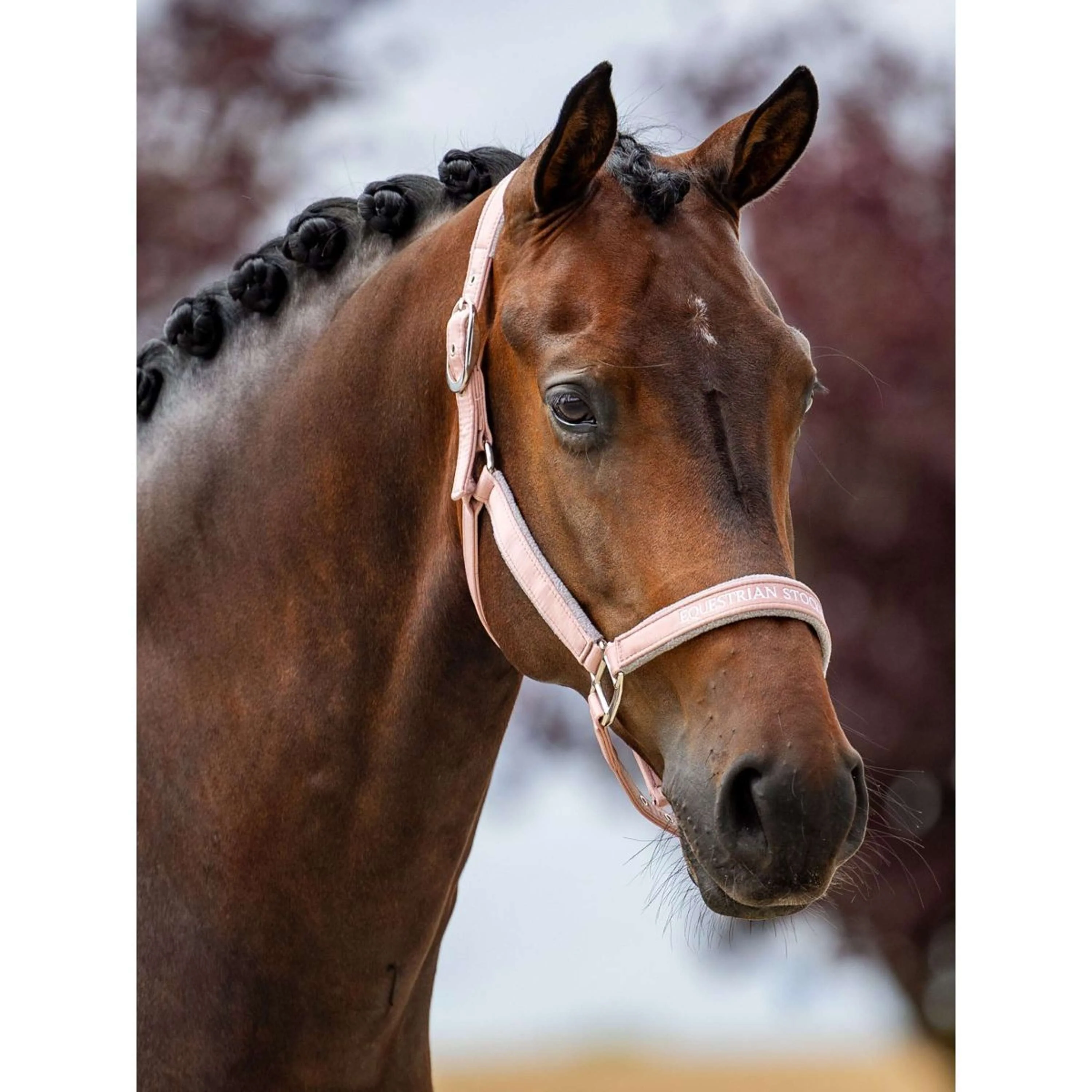 Equestrian Stockholm Licol Line Rose - Image 2