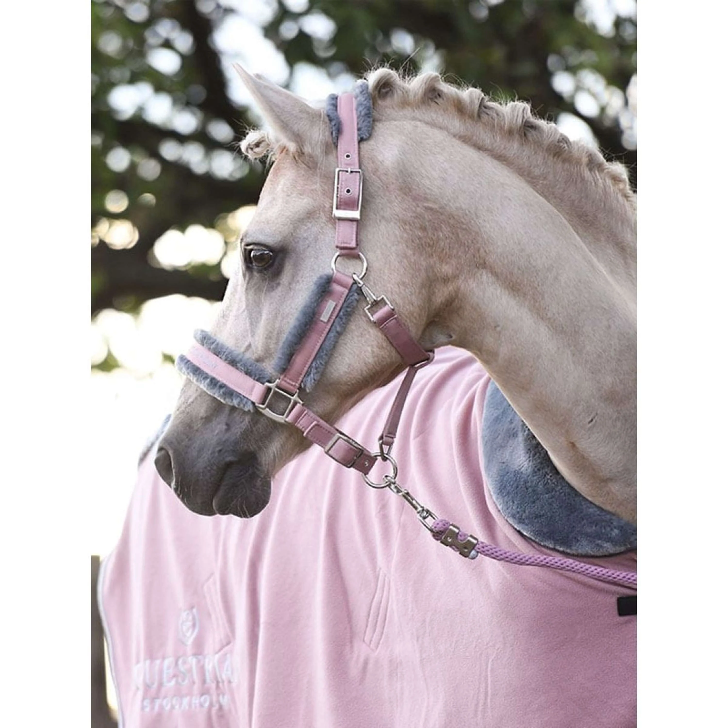 Equestrian Stockholm Licols et Longes Fur Rose - Image 2