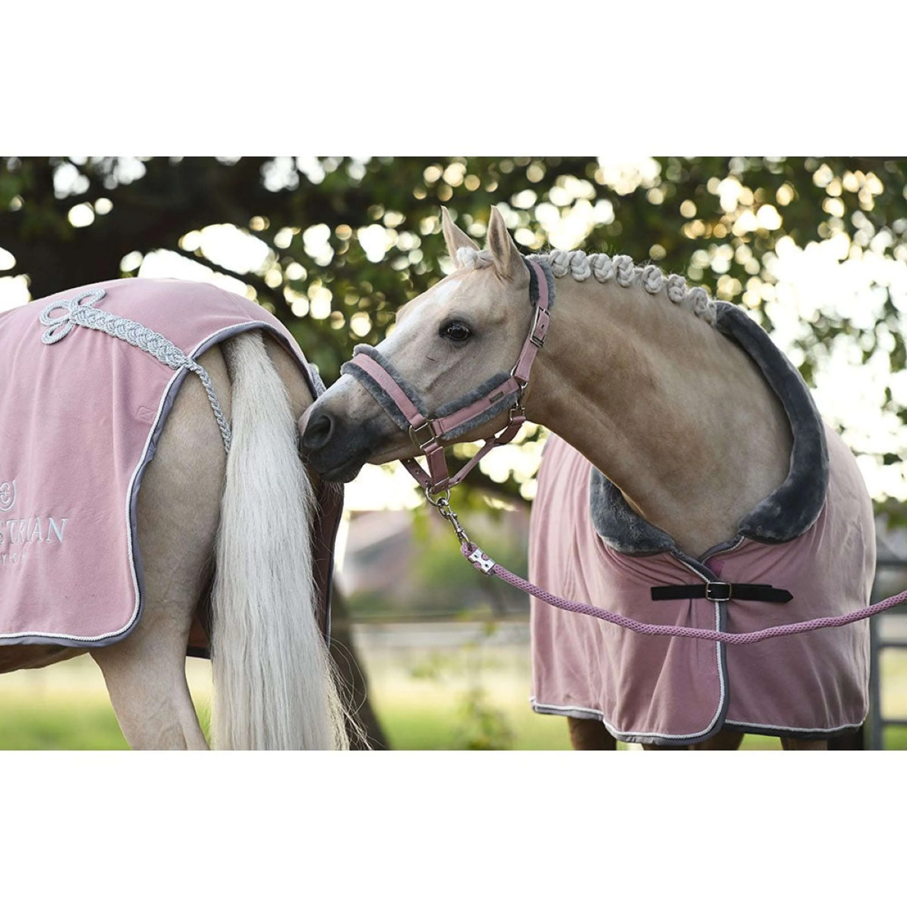 Equestrian Stockholm Licols et Longes Fur Rose - Image 4