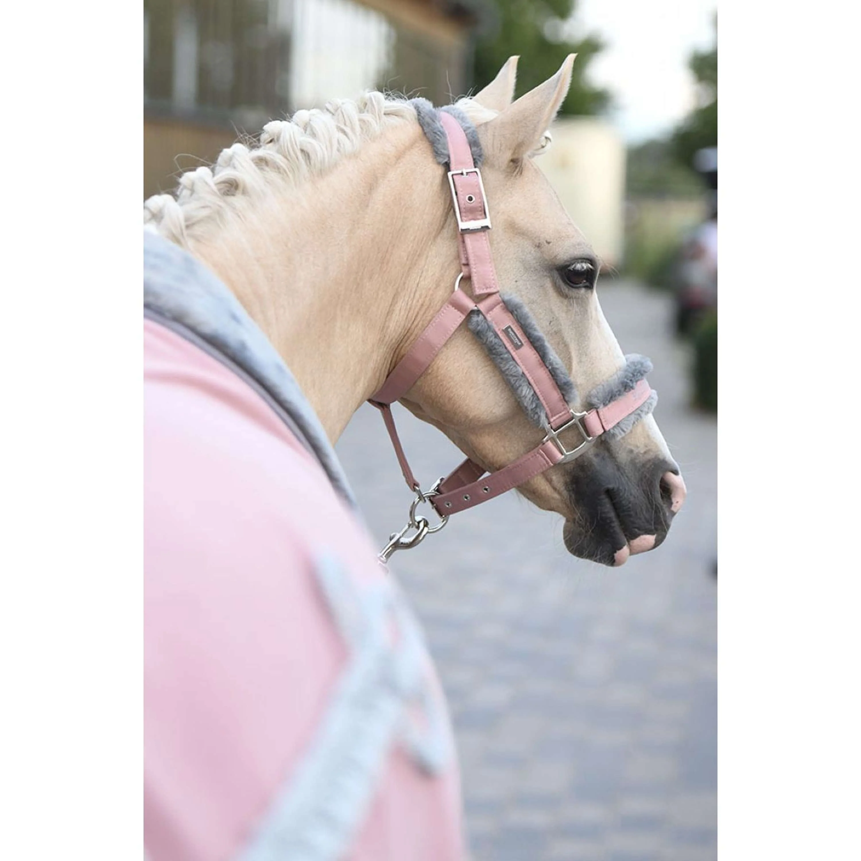 Equestrian Stockholm Licols et Longes Fur Rose - Image 5