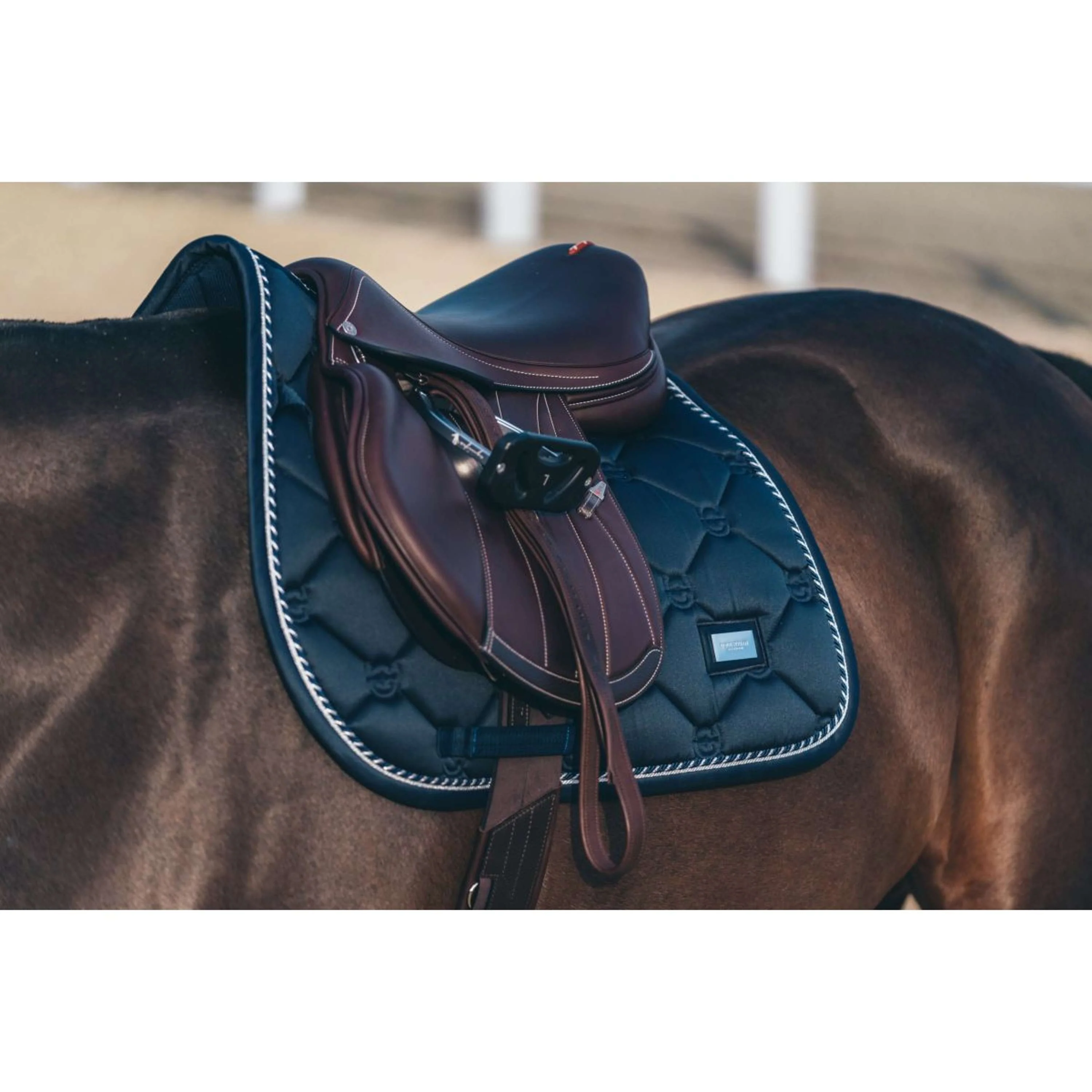 Equestrian Stockholm Tapis de Selle de Saut Midnight Blue - Image 5