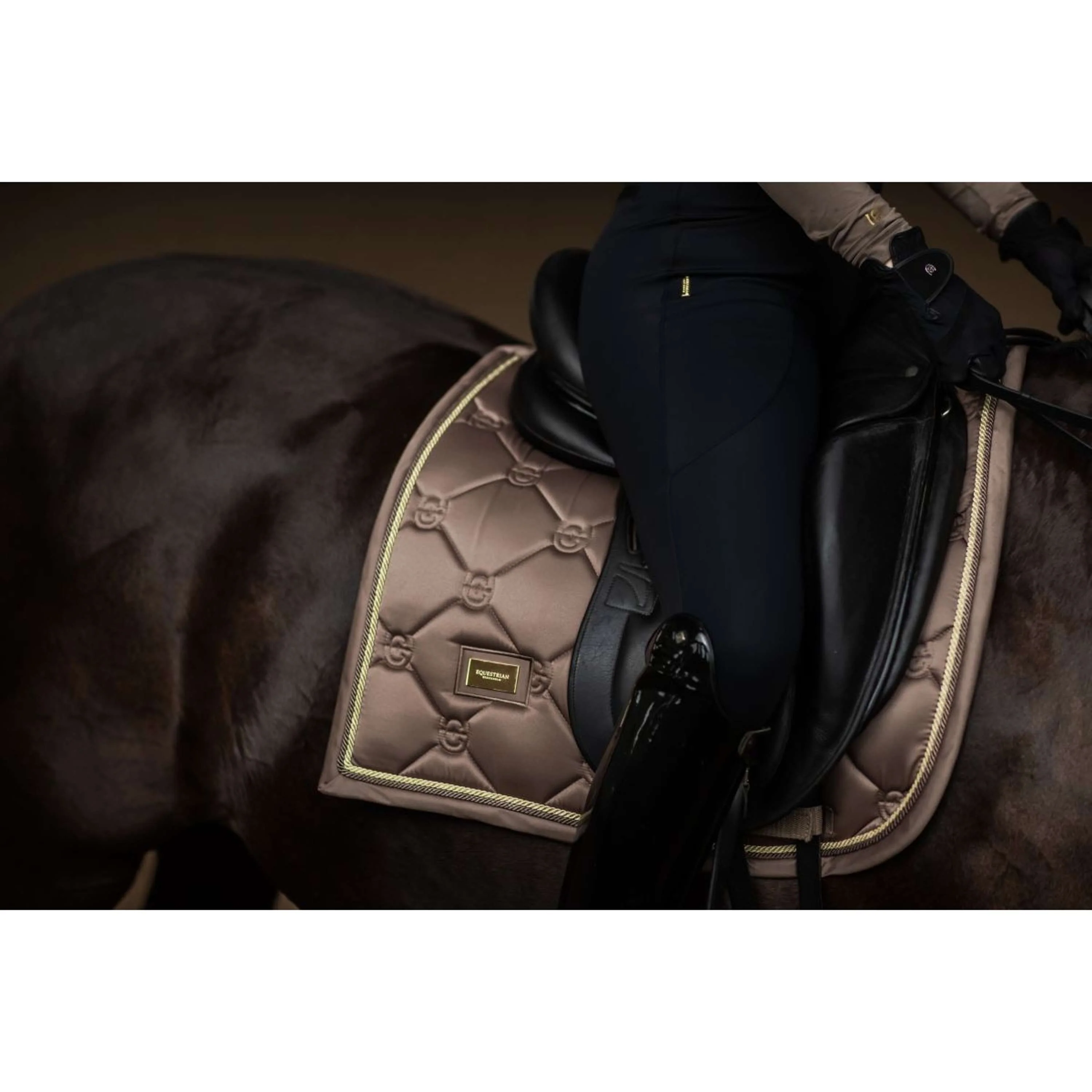 Equestrian Stockholm Tapis de Selle Dressage Champagne - Image 2