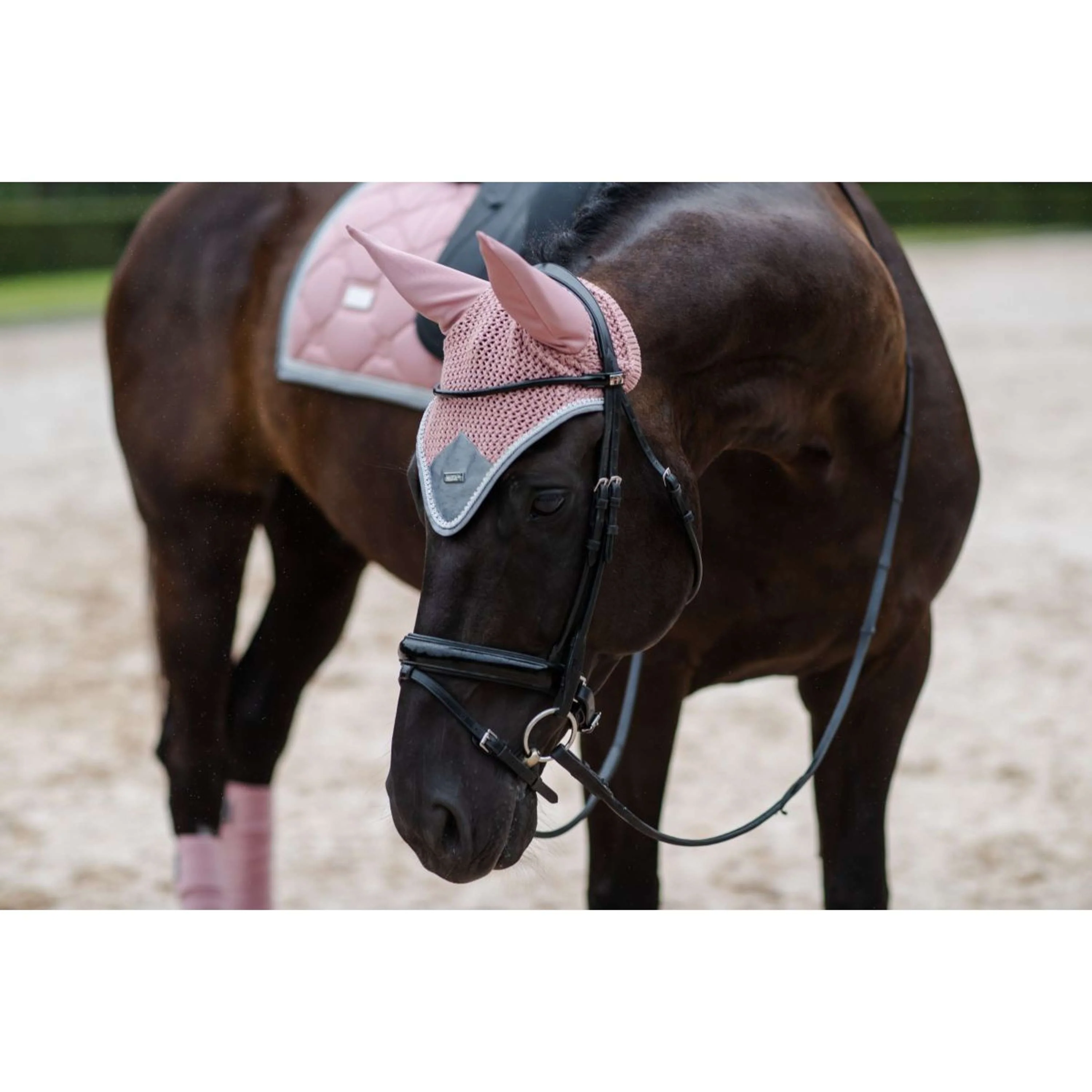 Equestrian Stockholm Tapis de Selle Dressage Pink Pearl - Image 7