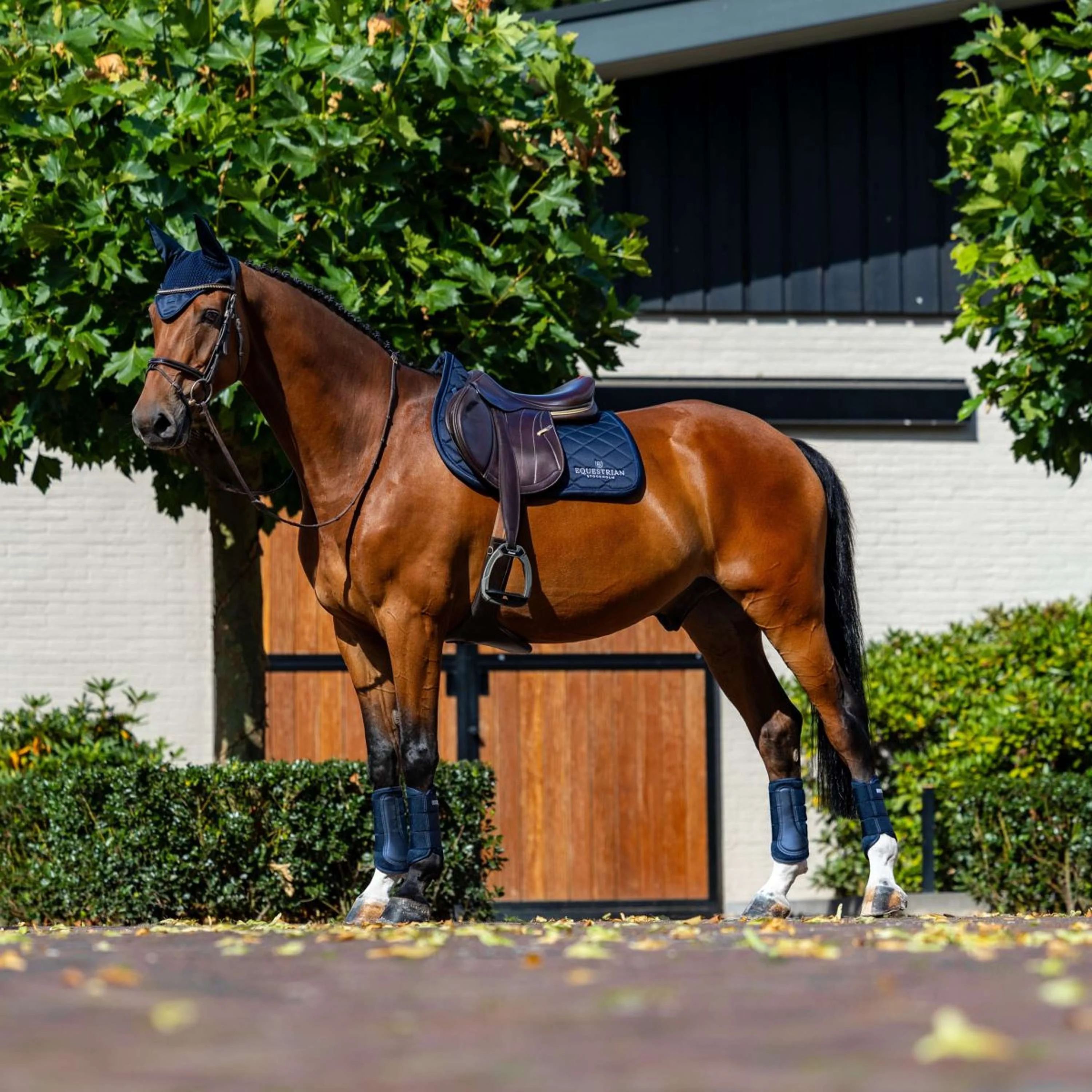 Equestrian Stockholm Tapis de Selle Line de Saut Marin - Image 3