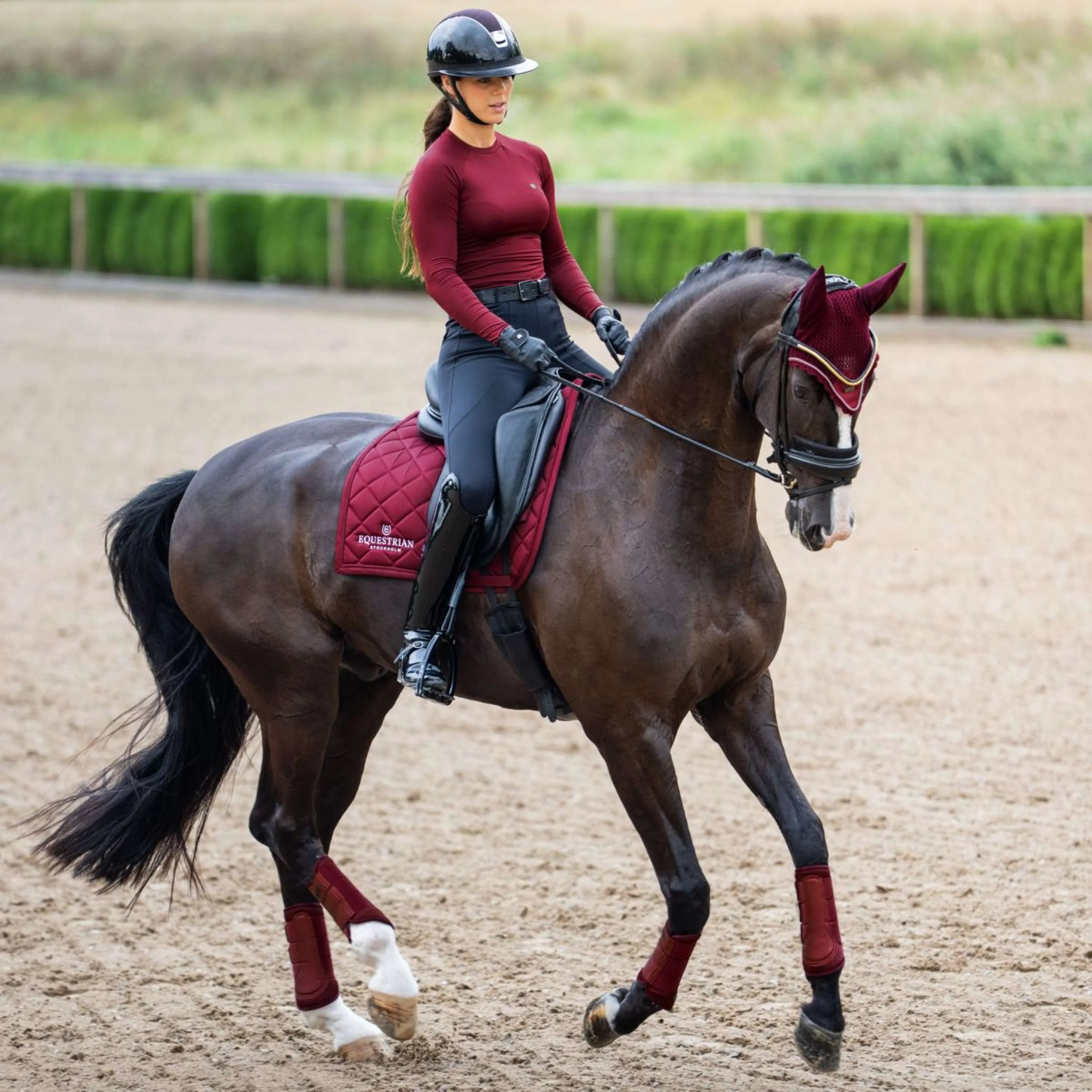 Equestrian Stockholm Tapis de Selle Line Dressage Bordeaux - Image 7