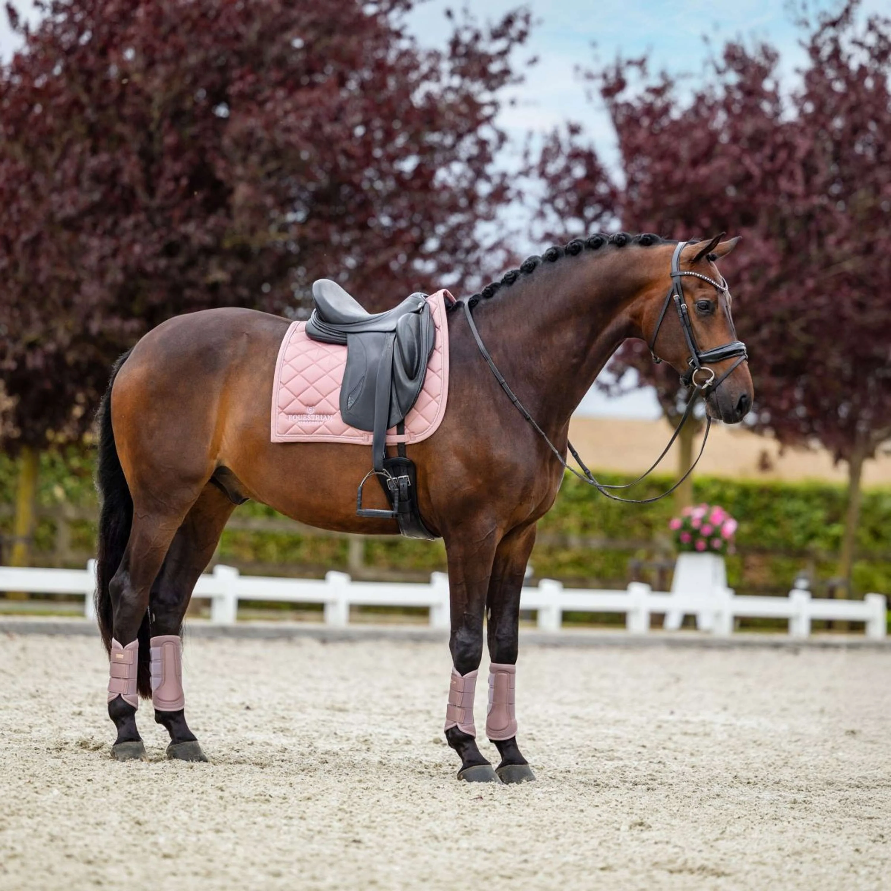Equestrian Stockholm Tapis de Selle Line Dressage Rose - Image 3