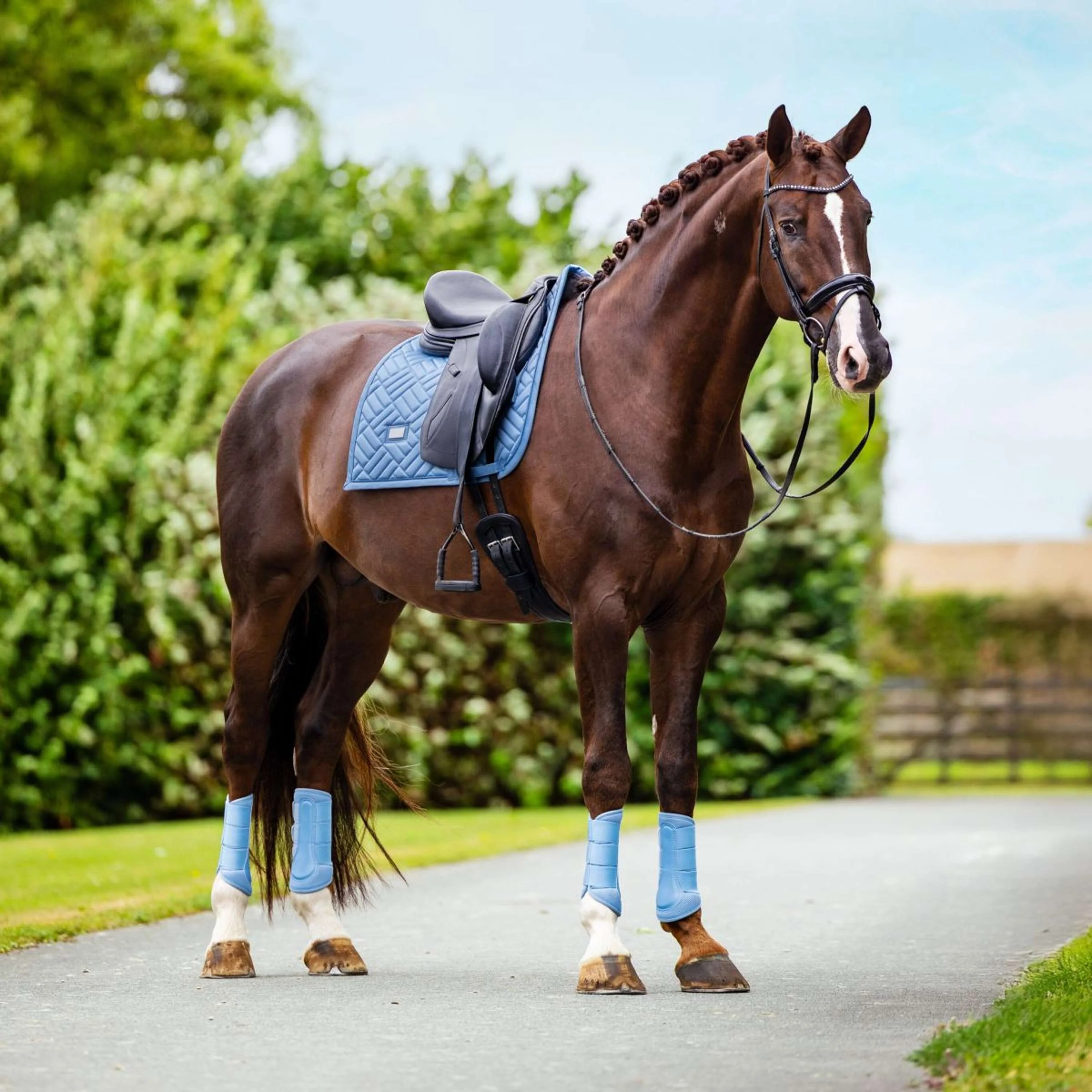 Equestrian Stockholm Guêtres Classic Mesh Midsummer Blue - Image 5