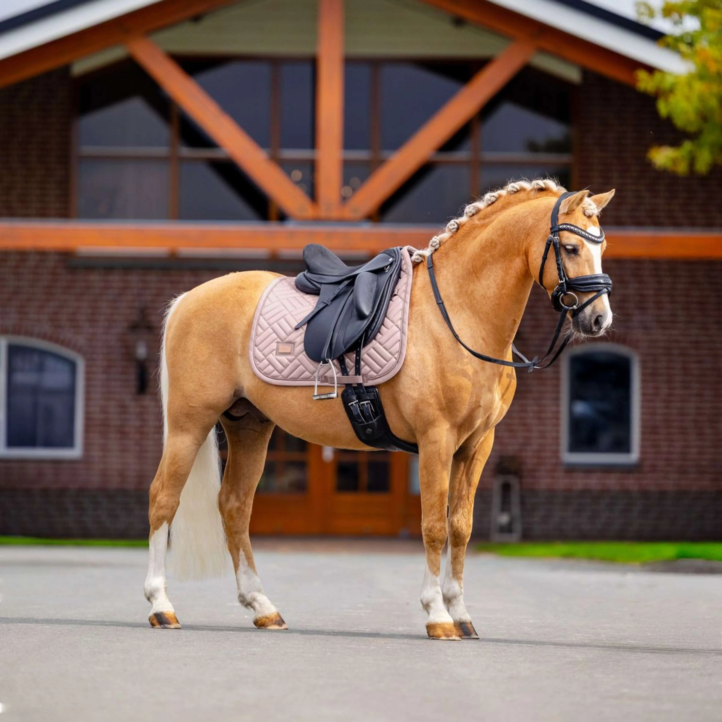 Equestrian Stockholm Tapis de Selle Modern Dressage Midsummer Blush - Image 3