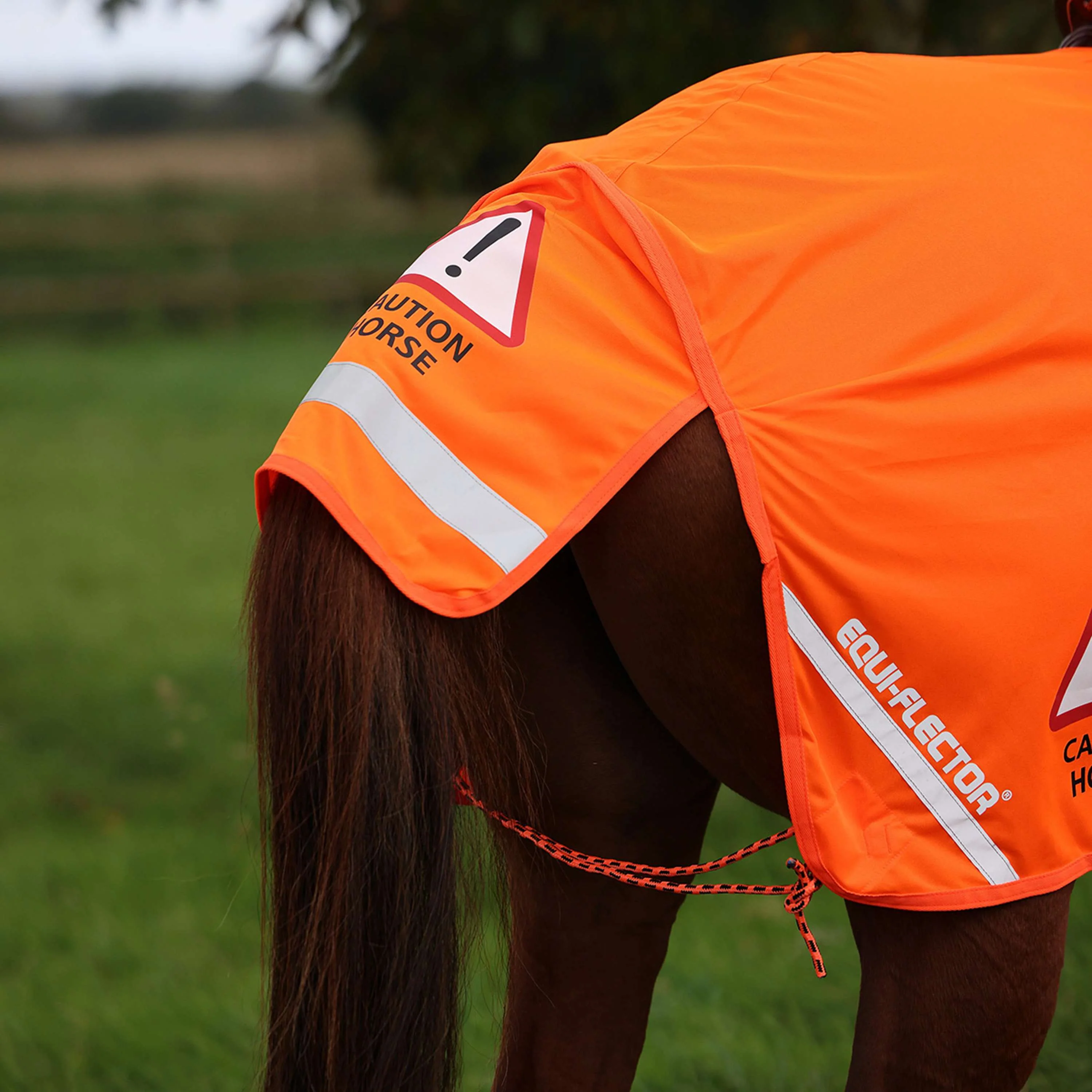 Equi-Flector by Shires Couvre-reins Mesh Réfléchissant Orange - Image 3