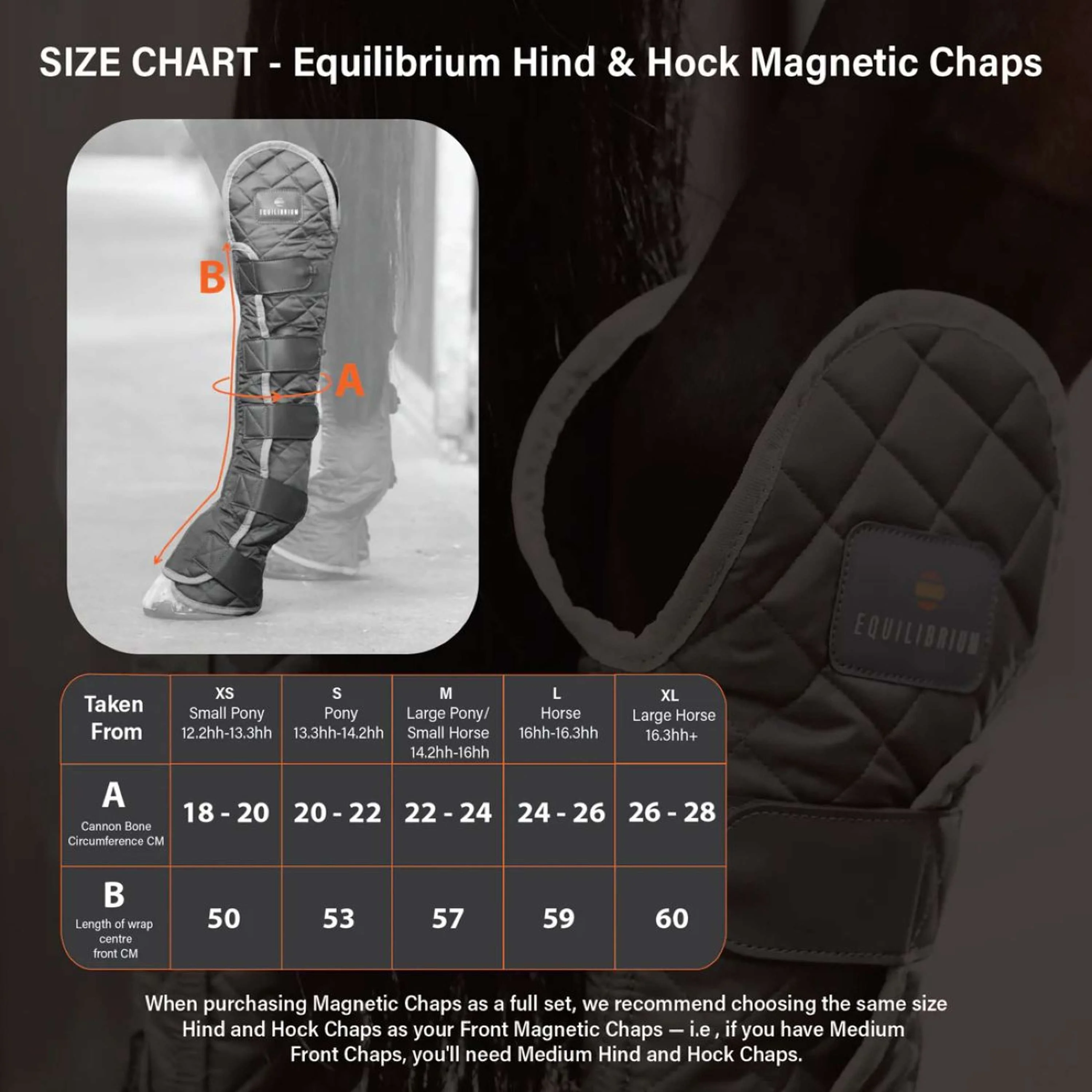 Equilibrium Guêtres Hind & Hock Magnetic postérieurs Gris - Image 6